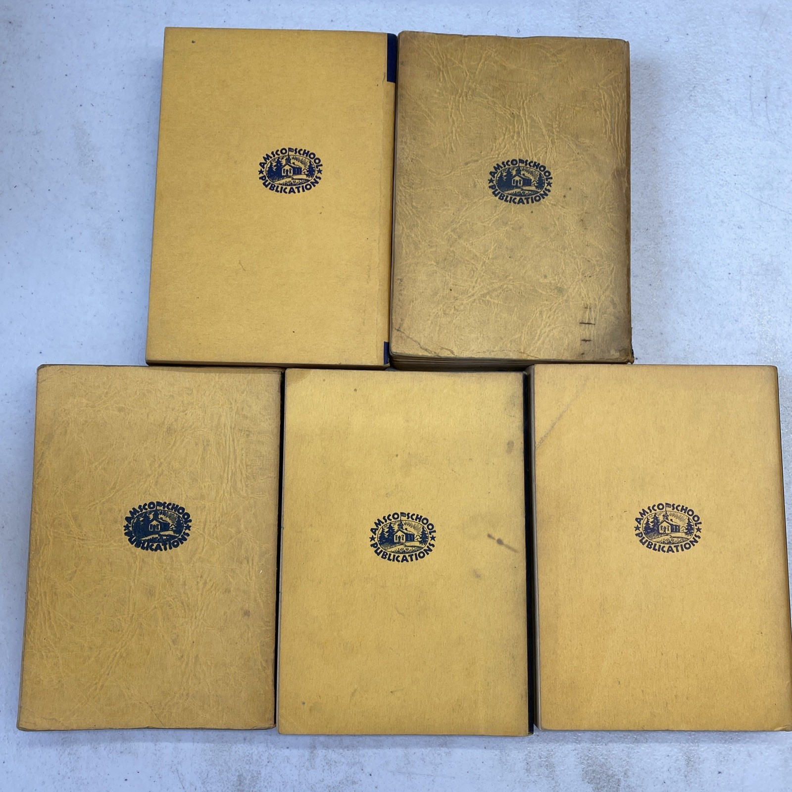 Lot Of 5! An Amsco School Publication Reviewing Physics Algebra French 1950s