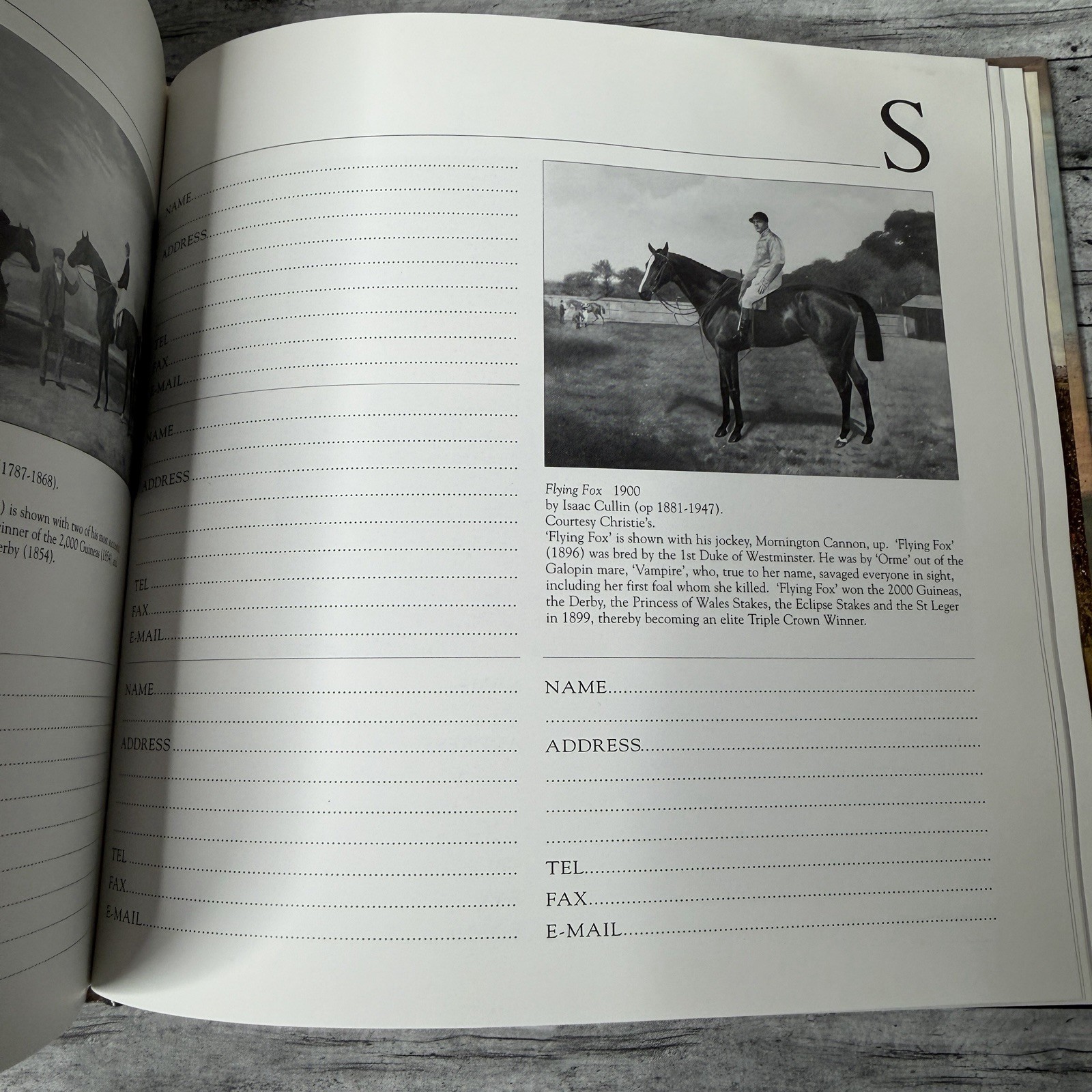 Horse Racing Address Book Equestrian Art Famous Thoroughbred Horses UK Hardback