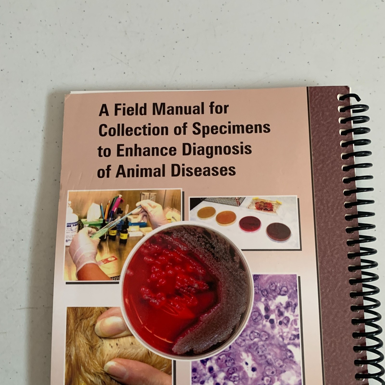 A Field Manual For Collection Of Speciments To Enhance Diagnosis Of Animal Disea