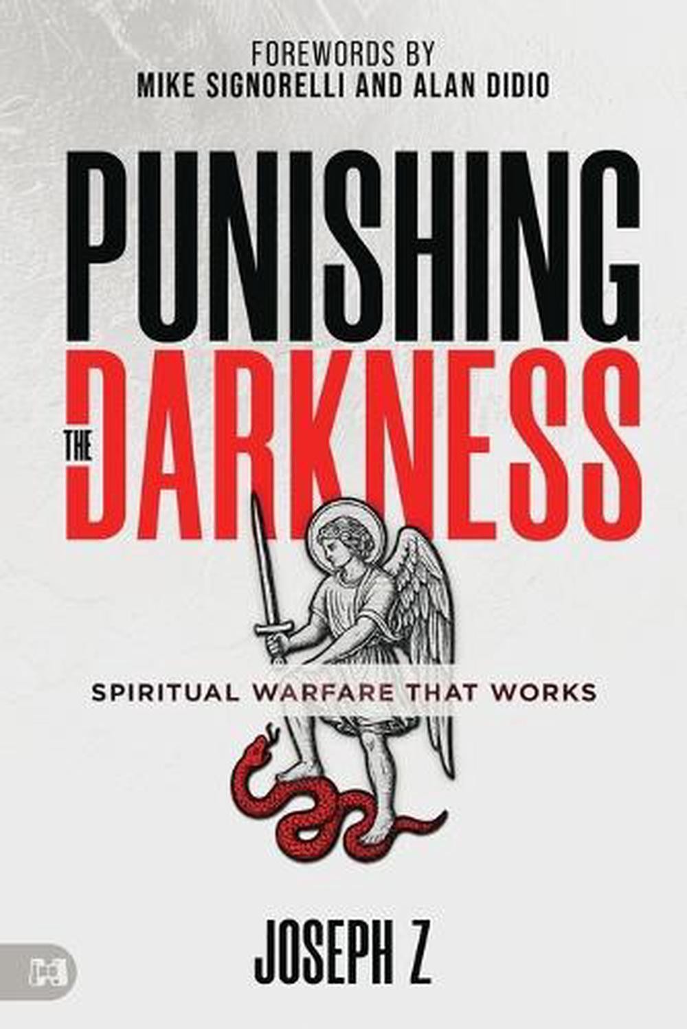 Punishing the Darkness by Joseph Z. Paperback Book