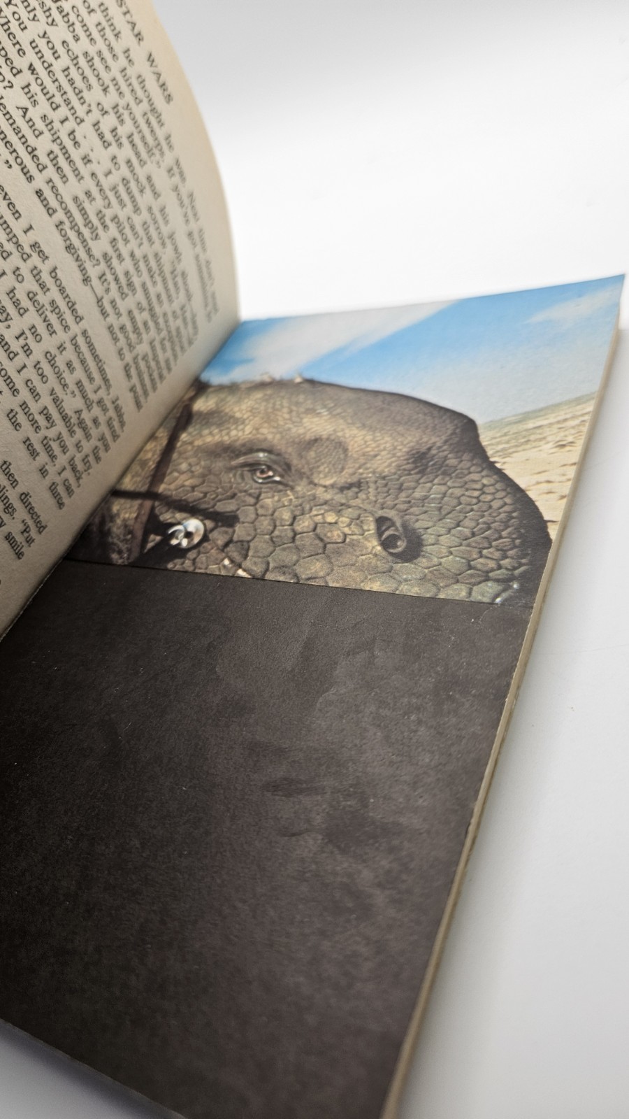 STAR WARS George Lucas 1st Ed 2nd Printing DEL REY 1976 1977 POCKET BOOK PB VTG