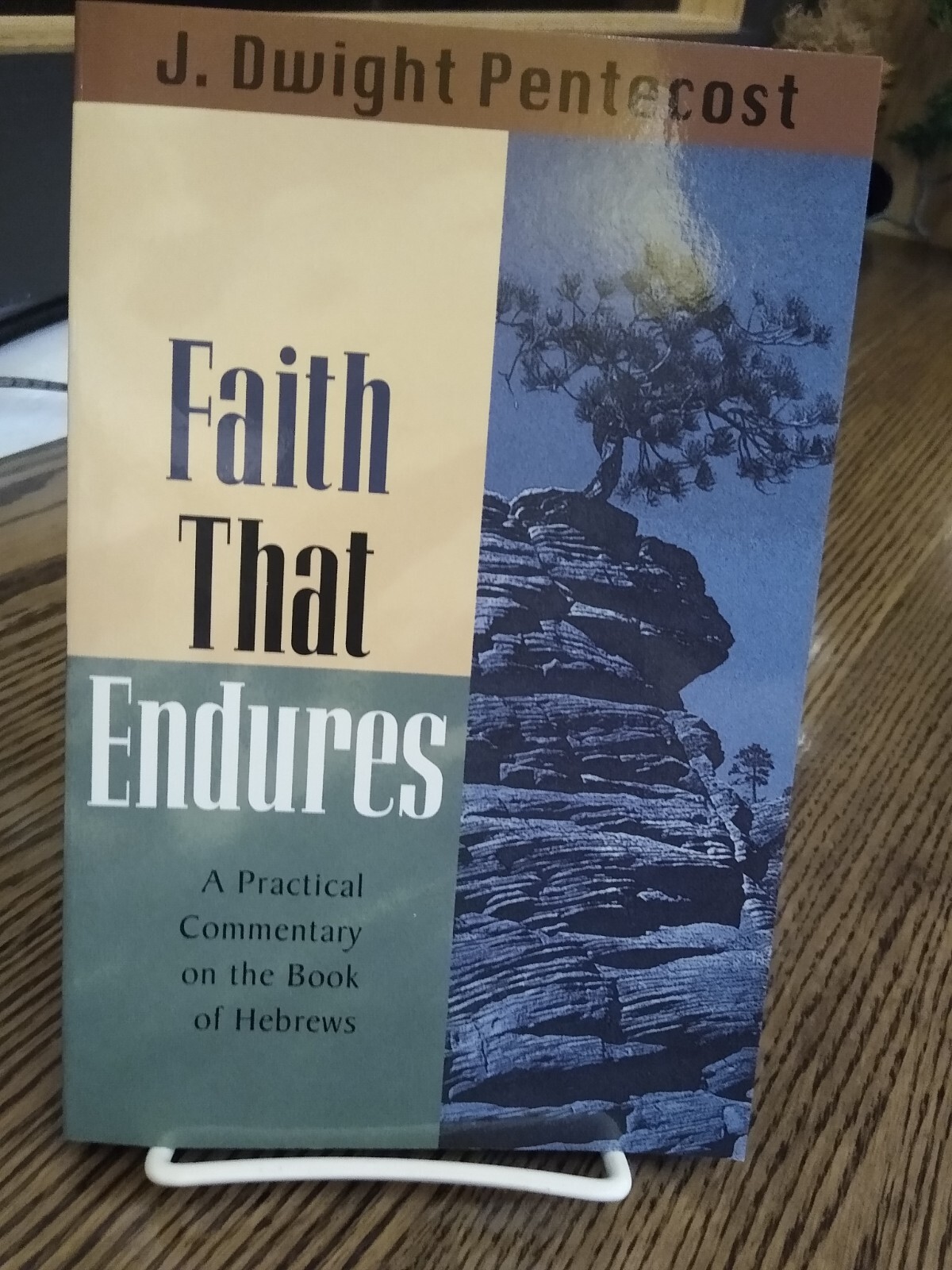 Faith That Endures : A Practical Commentary on the Book of Hebrews by J….