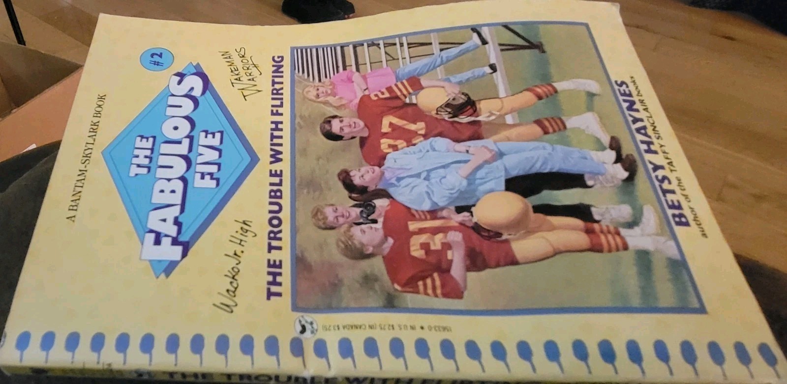 LARGE LOT OF 14! The Fabulous Five Betsy Haynes Vintage Paperback Chapter Books