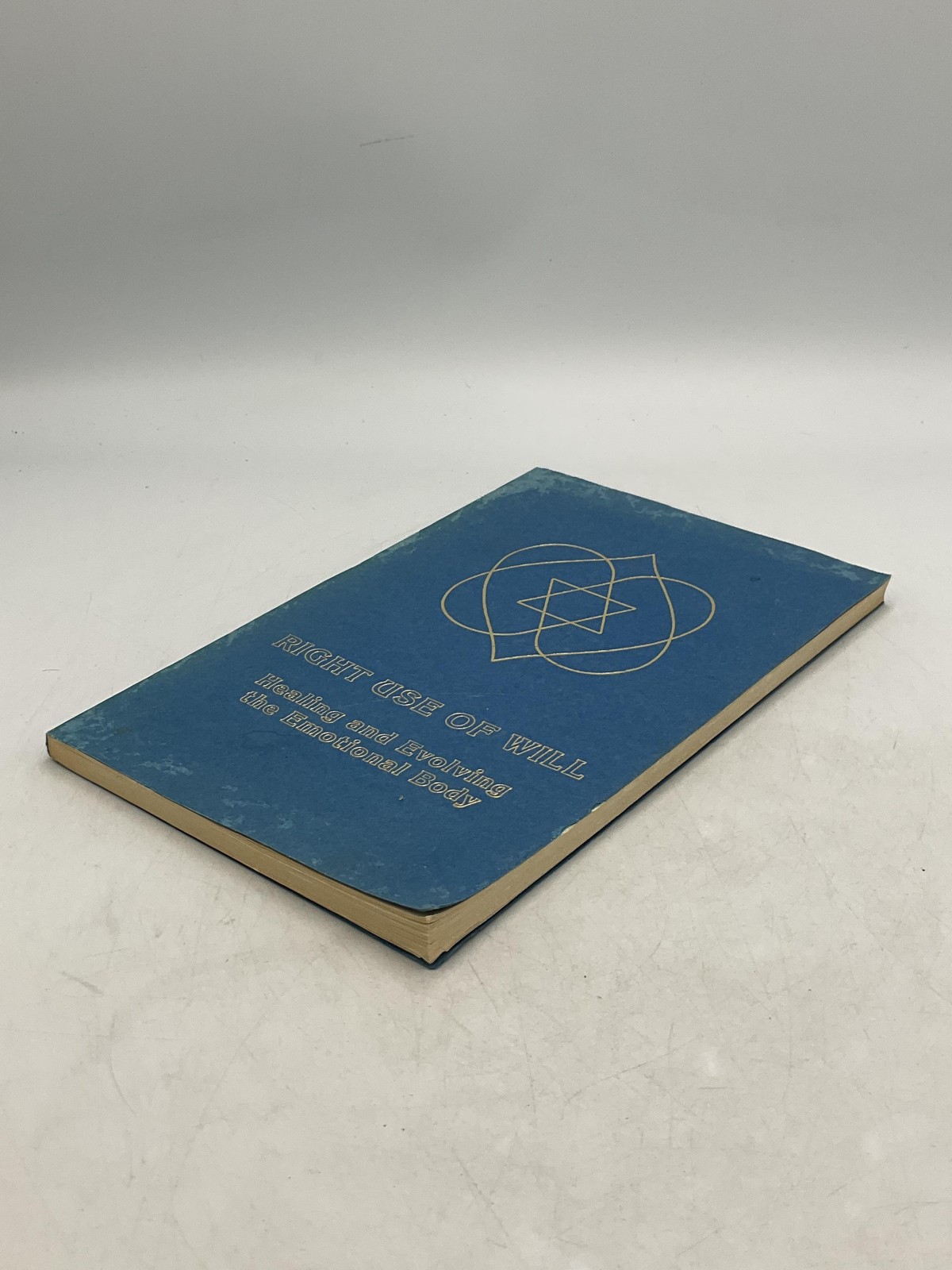 Right Use Of Will Ceanne DeRohan One World Blue Trade PB second printing 1985