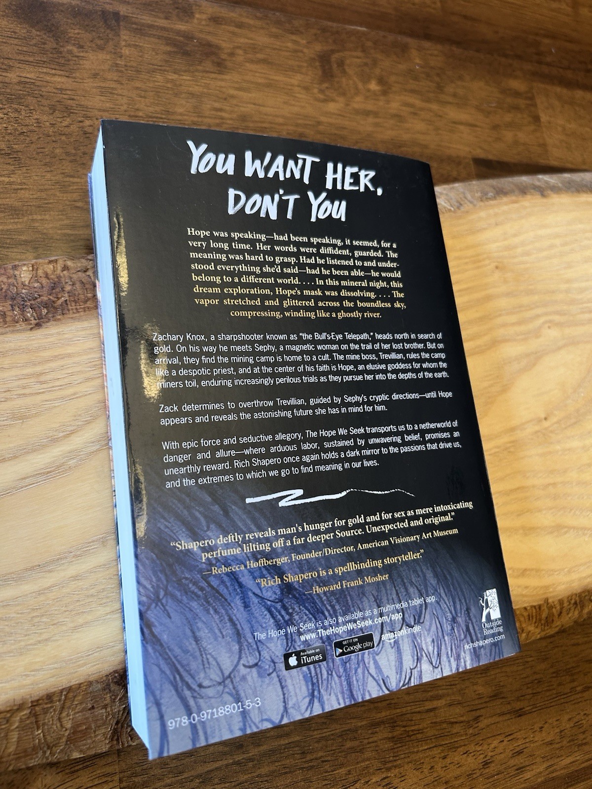 The Hope We Seek. Rich Shapero. 432 Pages. Paperback.