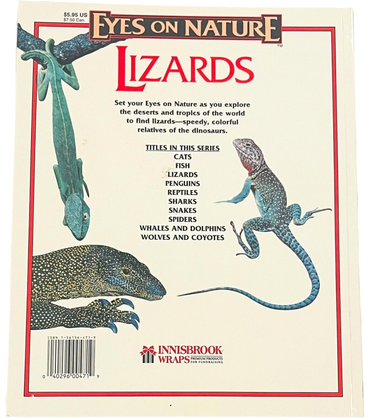 Eyes On Nature – Lizards – Paperback Book by Robert Matero – PB Book 1977