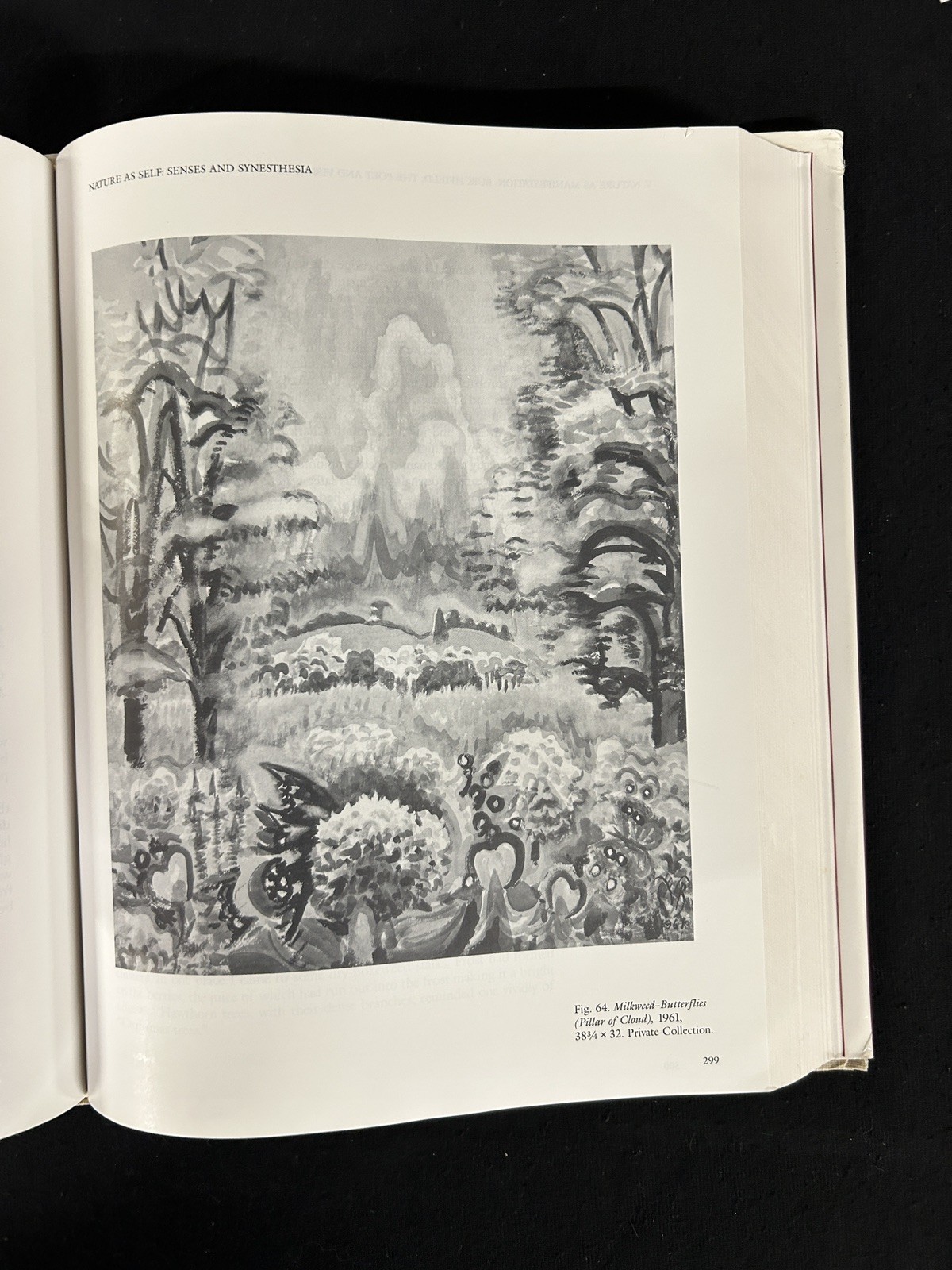 Charles Burchfield’s Journals : The Poetry of Place HCDJ 1993 1st