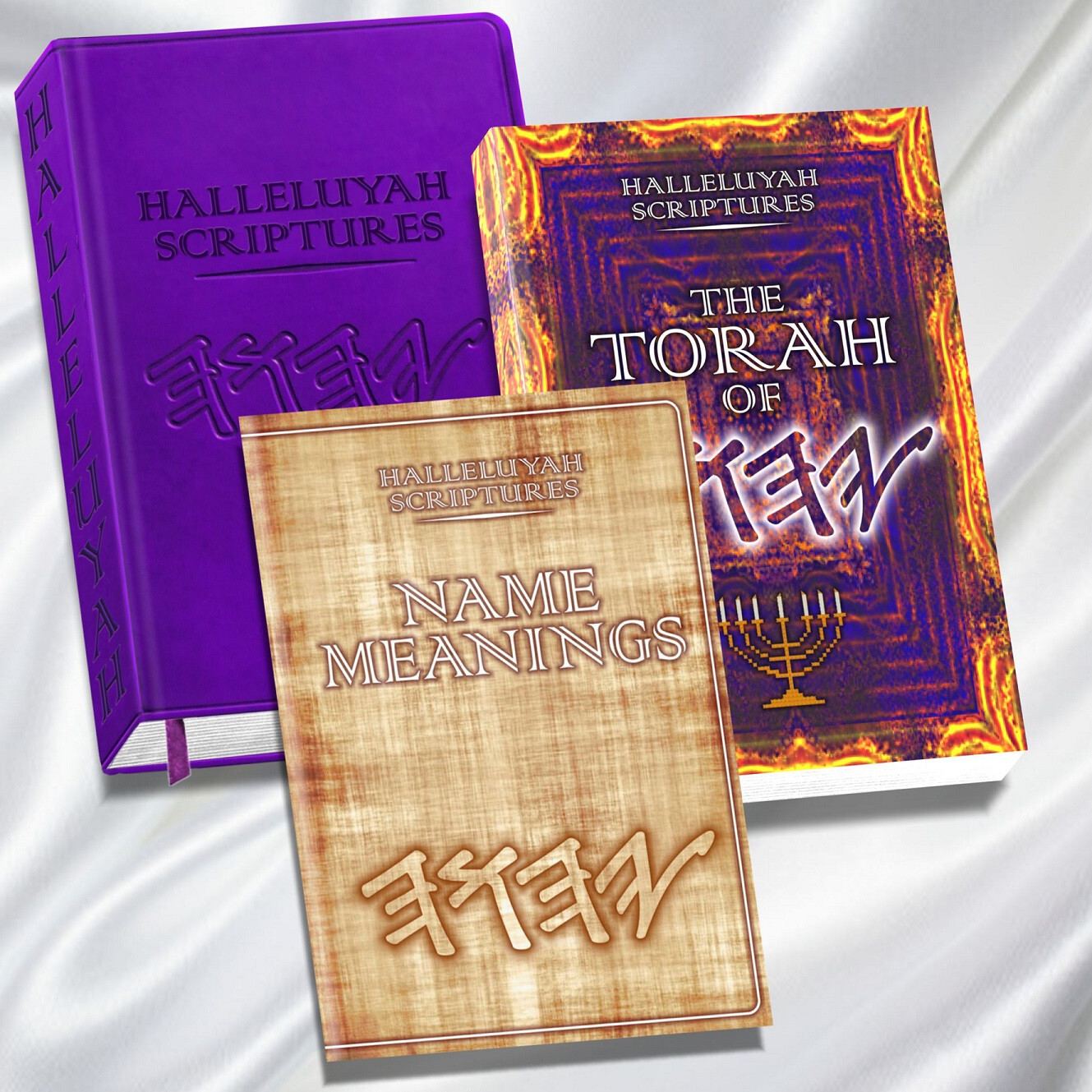 Bible BIBLE BIBLE PU Leather HalleluYah Scriptures & Extra 2 Books