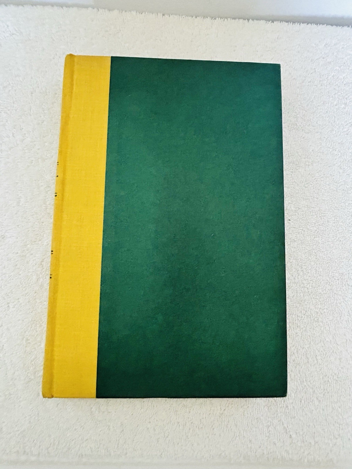 Clan Of The Cave Bear Jean M. Auel 1st Edition/1st Print HCDJ Earth’s Children