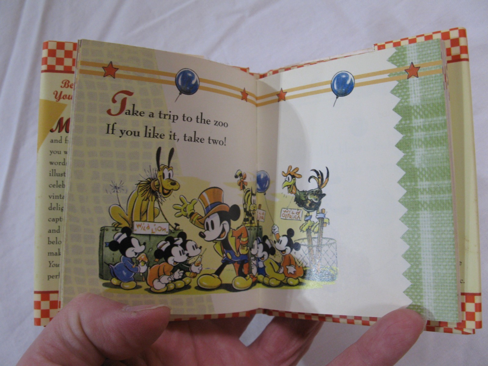 Mickey Minnie Because It’s Your Birthday Book HCDJ 2006 HTF 48 Pages