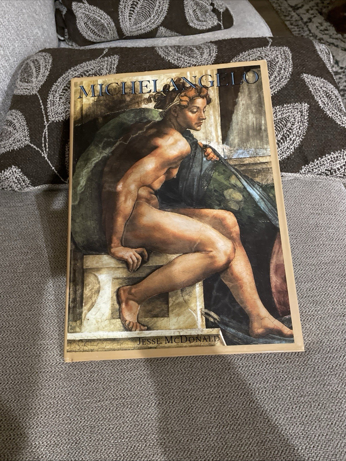 Michelangelo by Jesse McDonald (1995 Hardcover) 112 Pages with Dust Jacket
