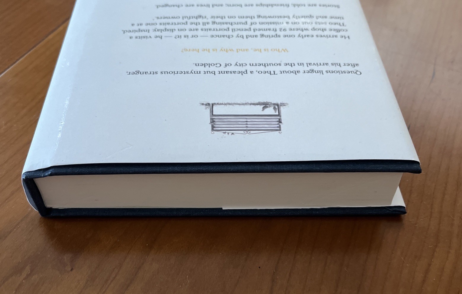 Theo of Golden Allen Levi True First Edition Self Published Hardcover Book 2023