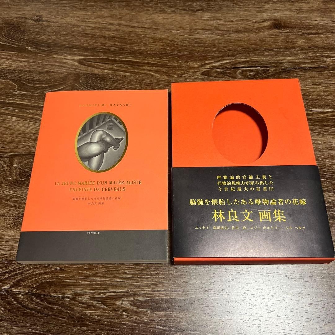 Hayashi Yoshifumi The Bride of a Materialist Who Conceived the Brain Marrow