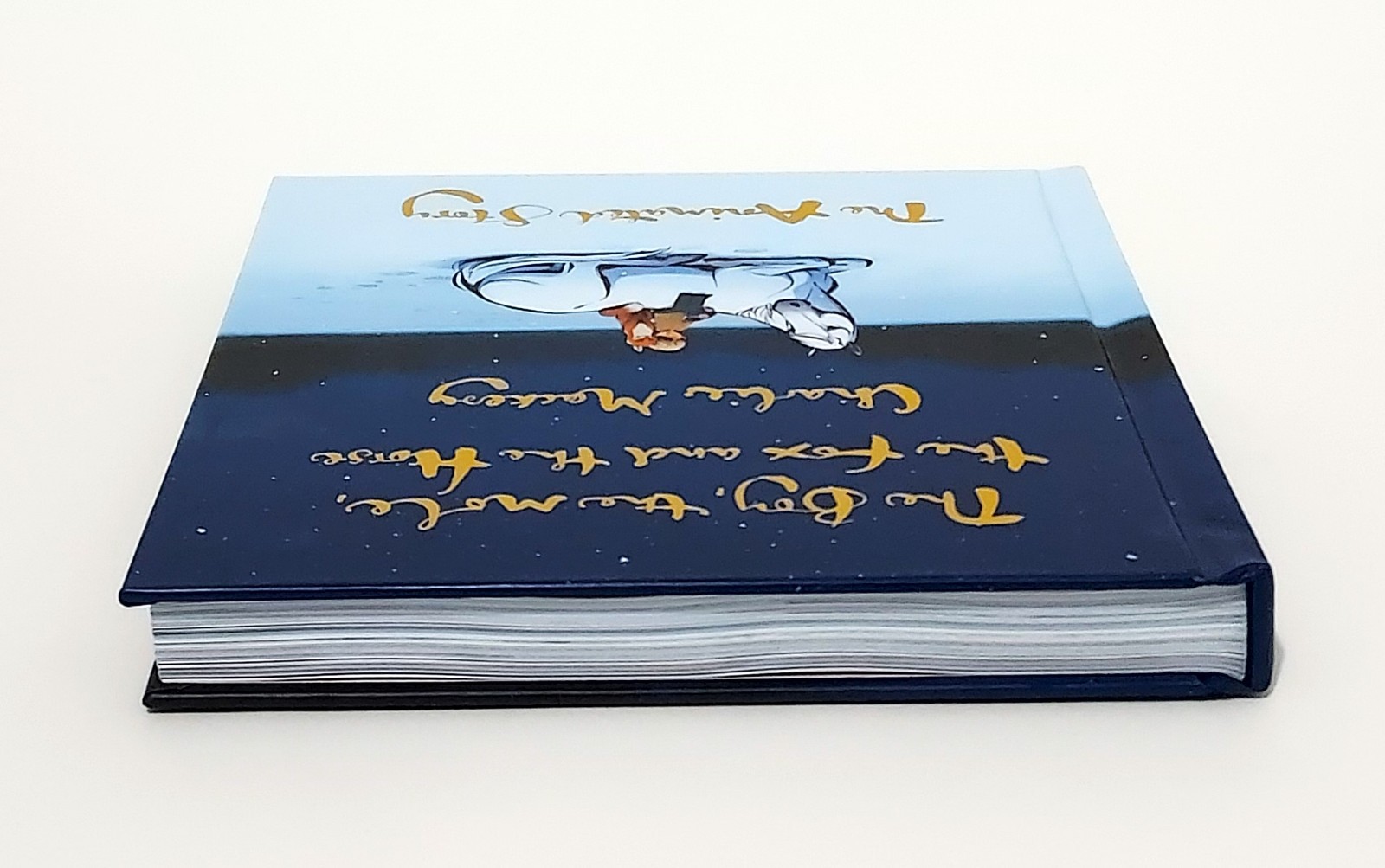 The Boy, the Mole, the Fox and the Horse The Animated Story by Charlie Mackesy