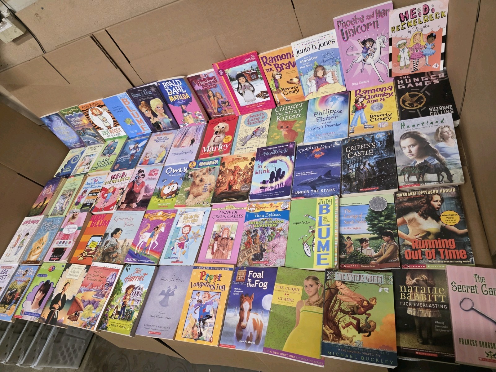 Lot of 20 Chapter Books for GIRLS Youth Early Reader Young Adult Children RANDOM