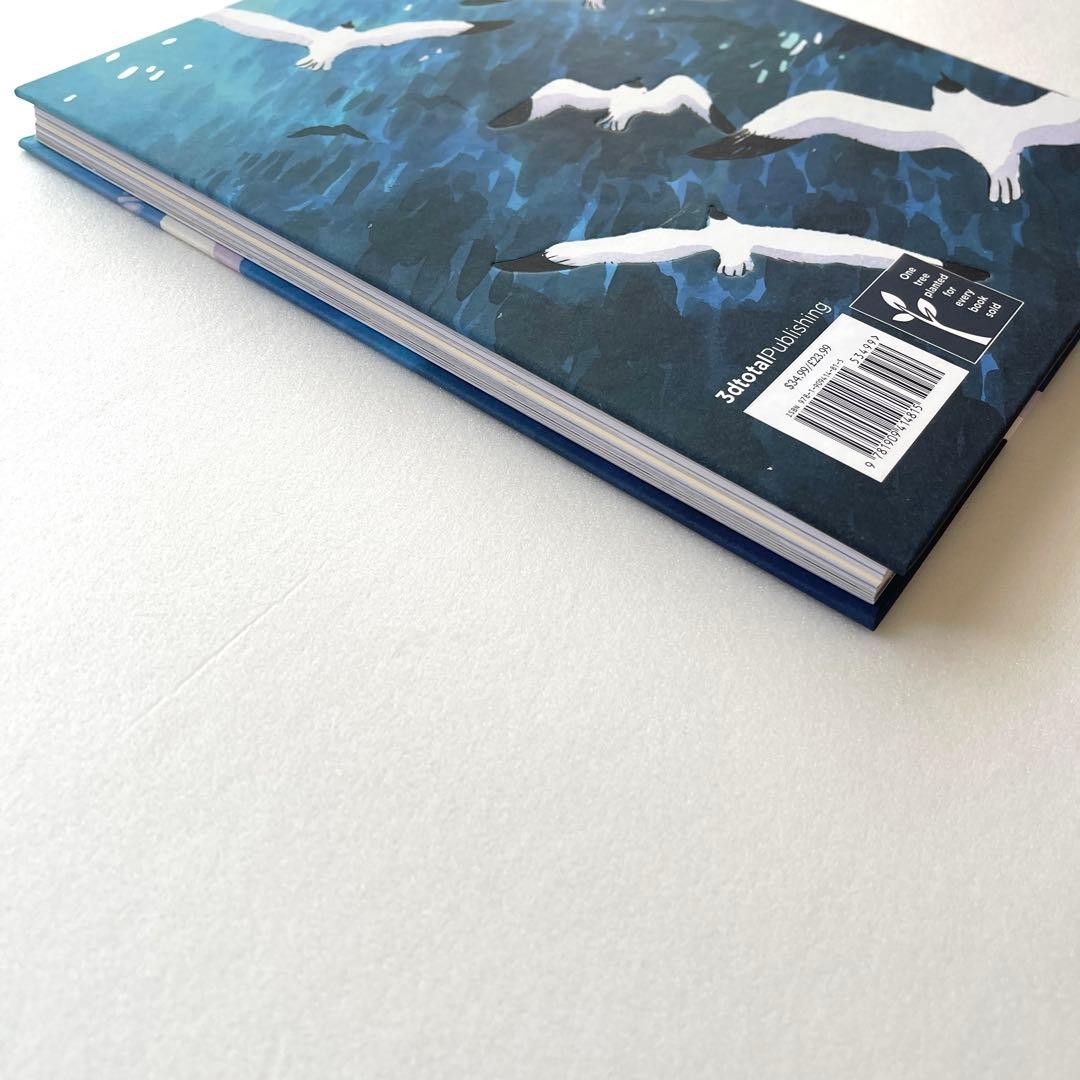 Heikala Art Works and Thoughts Finnish Artist 152 Color Pages 9.2x1x10.7 inches