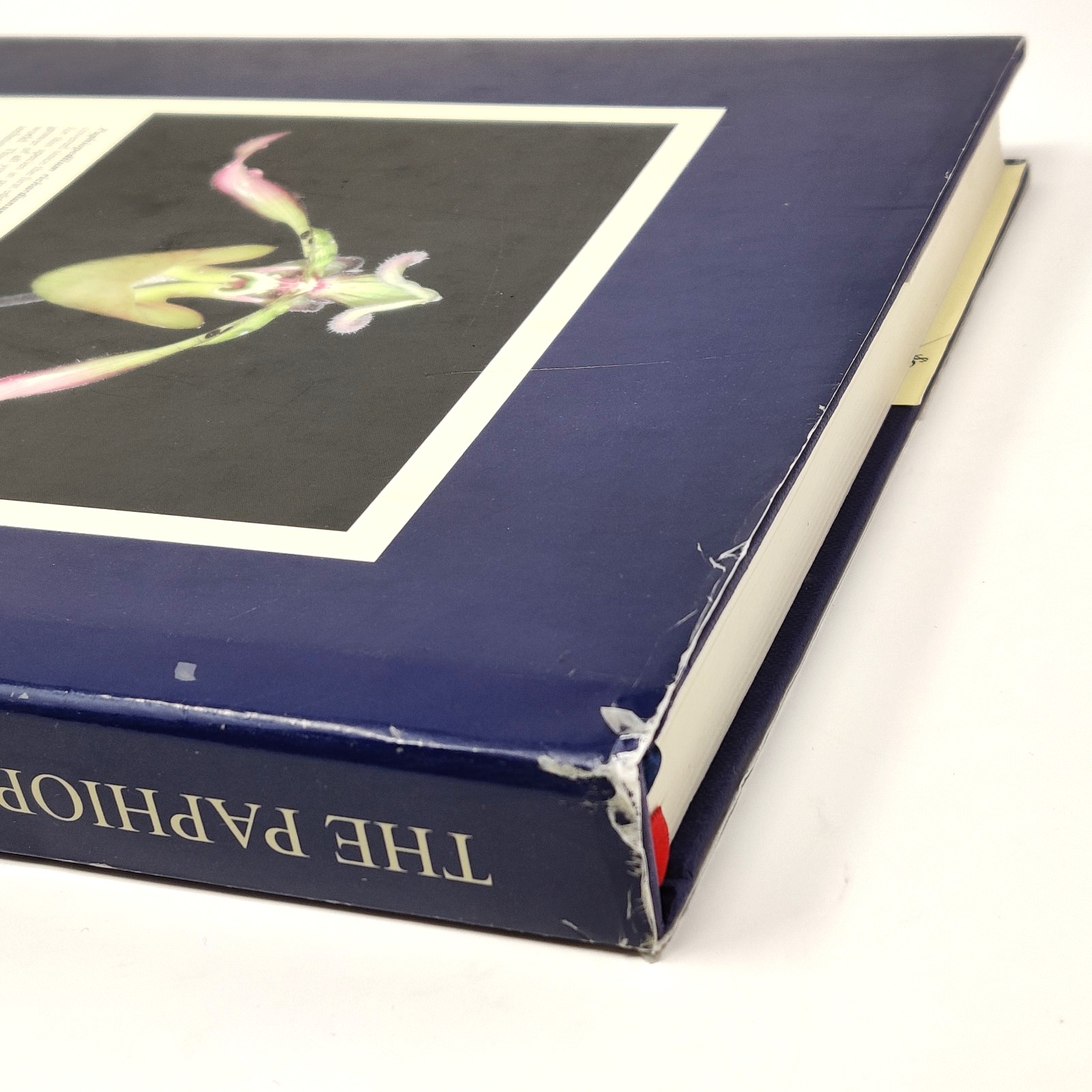 Paphiopedilum Grower’s Manual by Lance A. Birk (1984, Hardcover) HBDJ Flowers