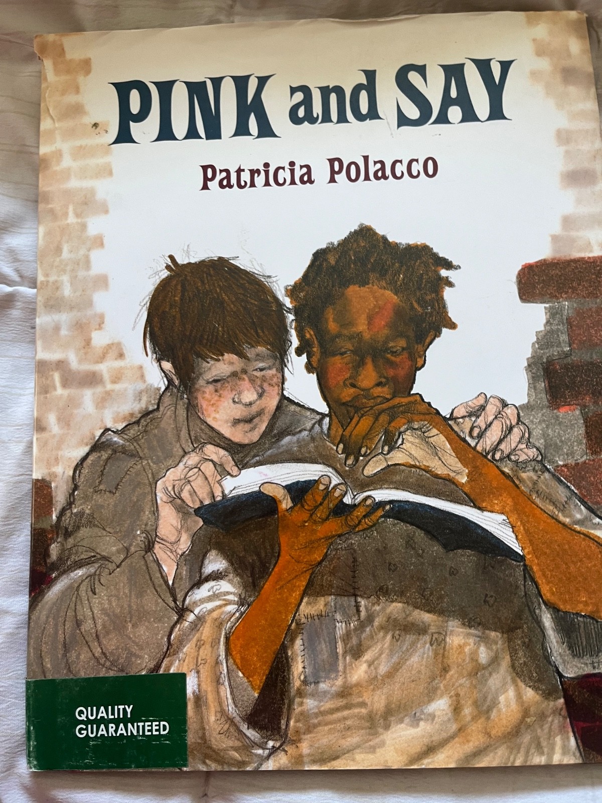 Patricia Polacco book collection – 24 books. – hard and soft back- Make an offer