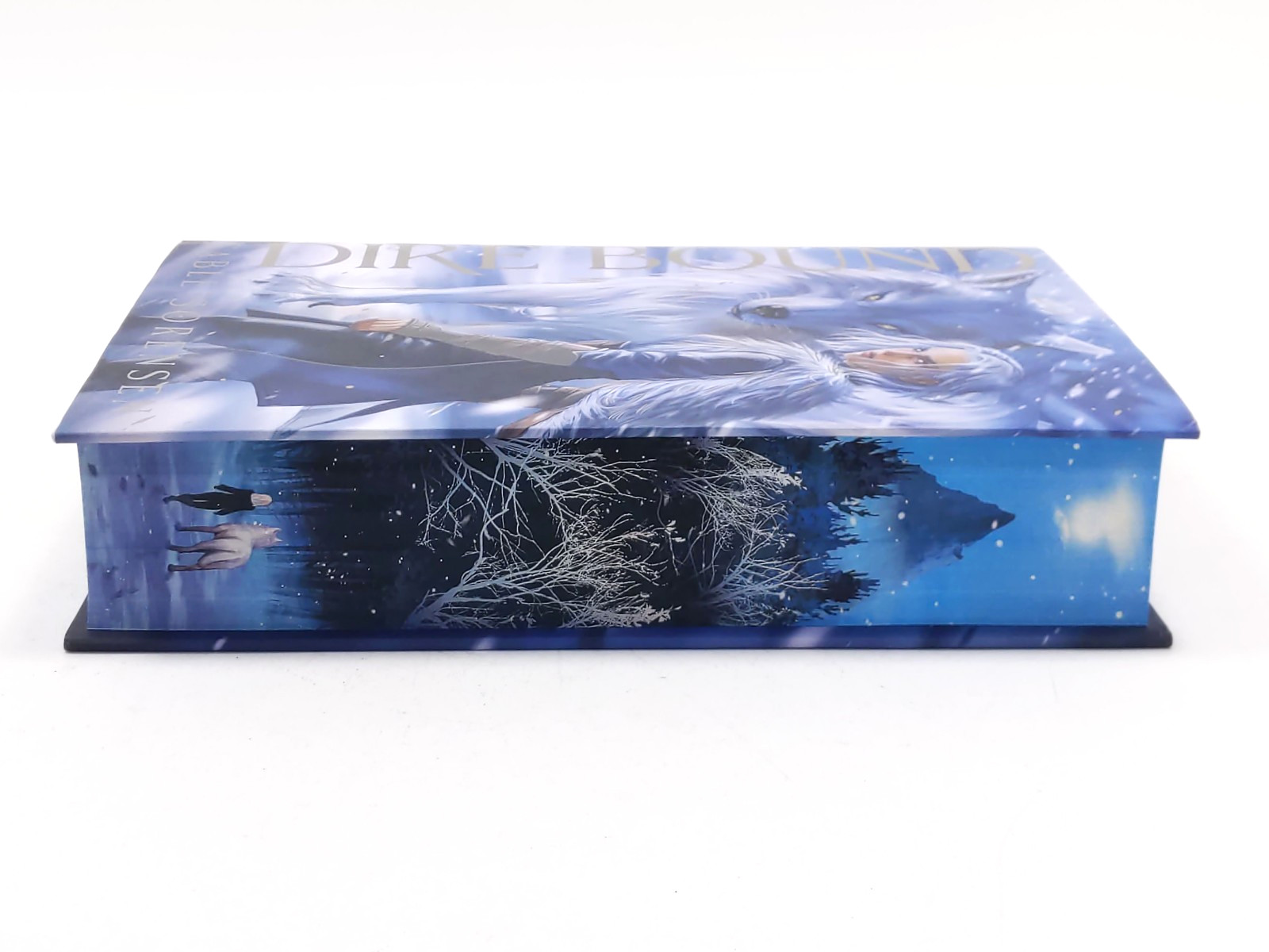 Dire Bound by Sable Sorensen FairyLoot Exclusive Edition – Hardcover Unsigned