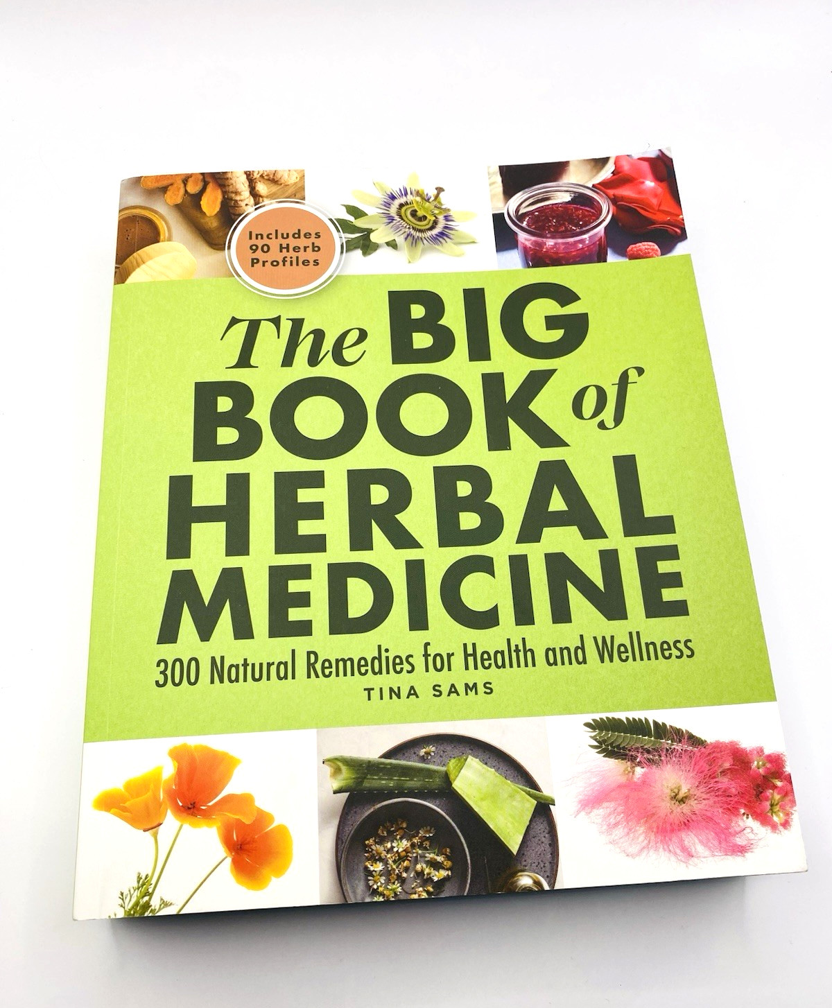 The Big Book of Herbal Medicine 300 Natural Remedies for Health and Wellness