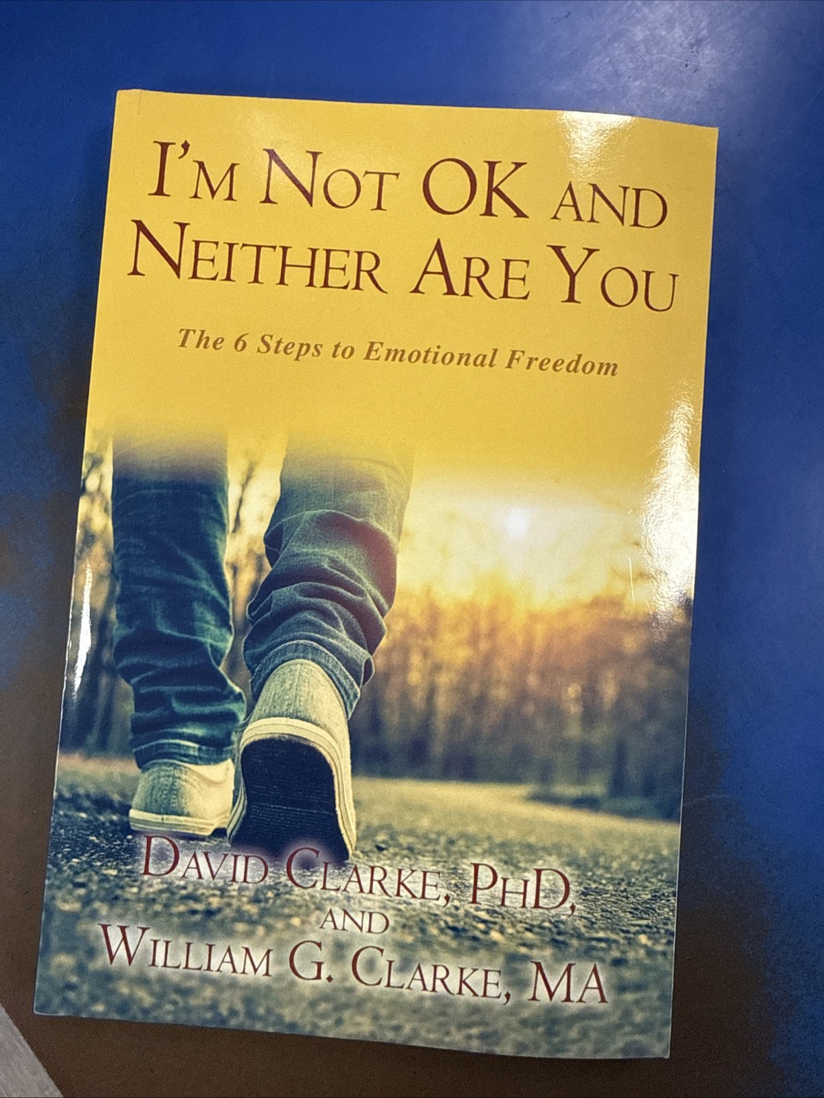 I’m Not Okay and Neither Are You / 6 Steps to Emotional Freedom David Clarke