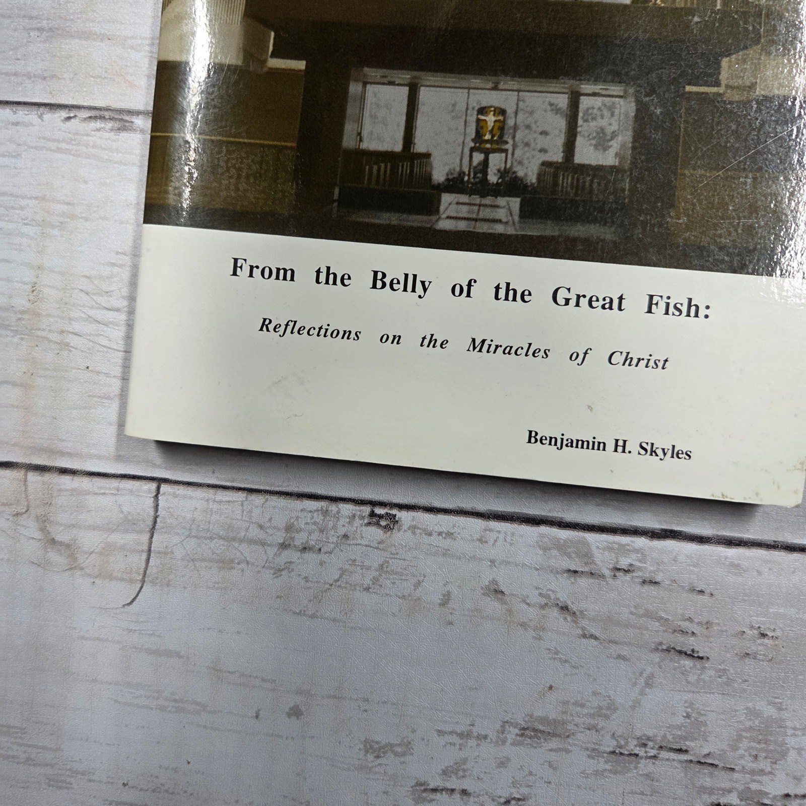 From the Belly of the Great Fish Benjamin H Skyles 1995 Signed & Inscribed