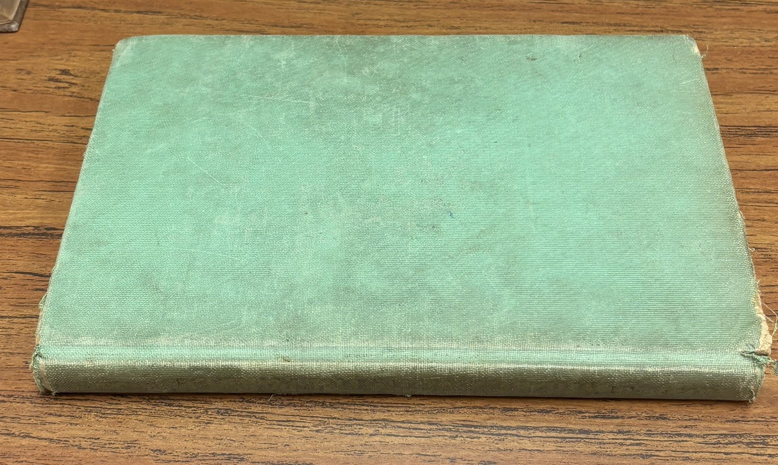 The Boy with the Parrot by Elizabeth Coatsworth 1942 The Macmillan Company