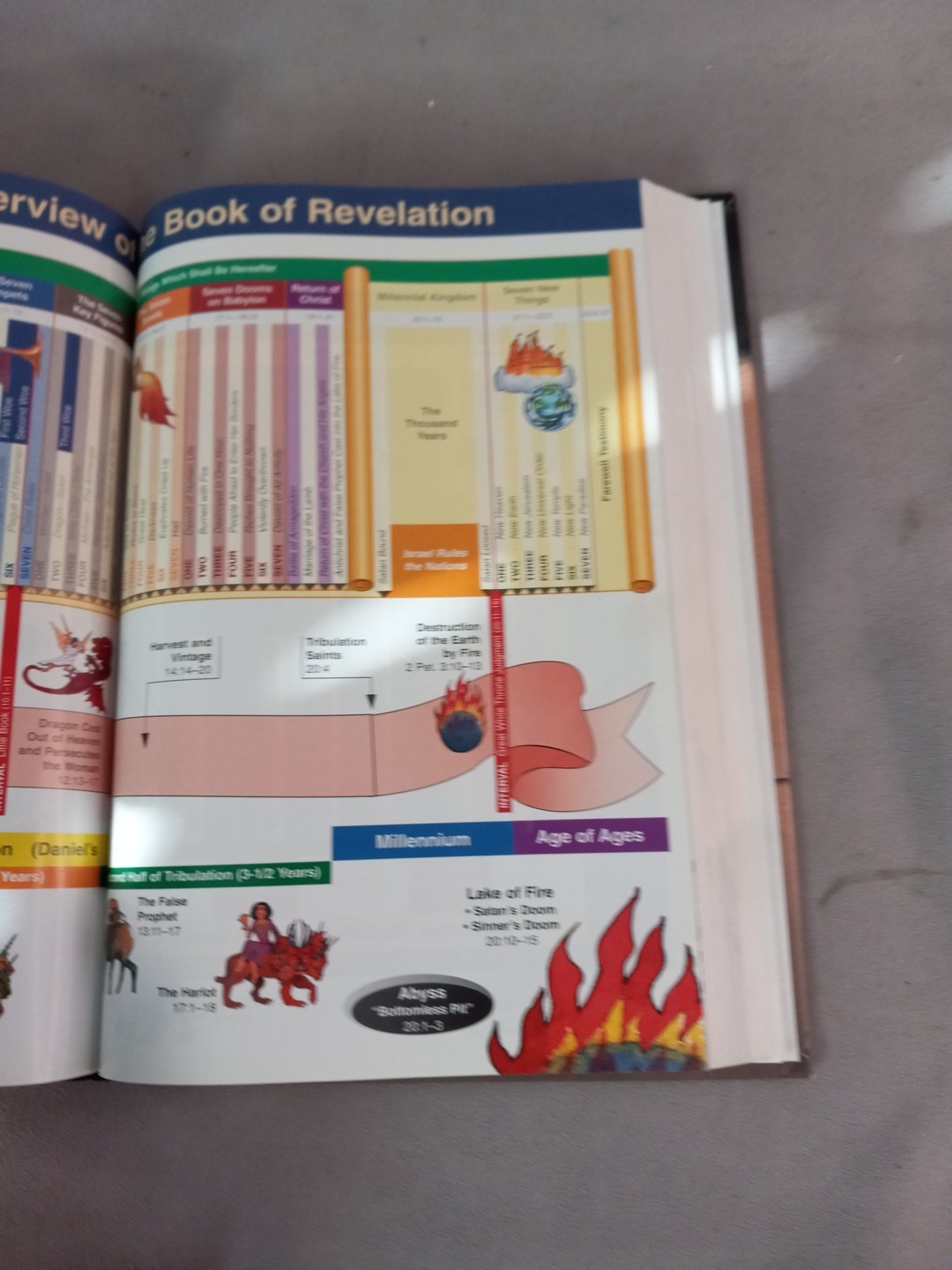 Prophecy Study Bible KJV Tim LaHaye 2000 Hardcover
