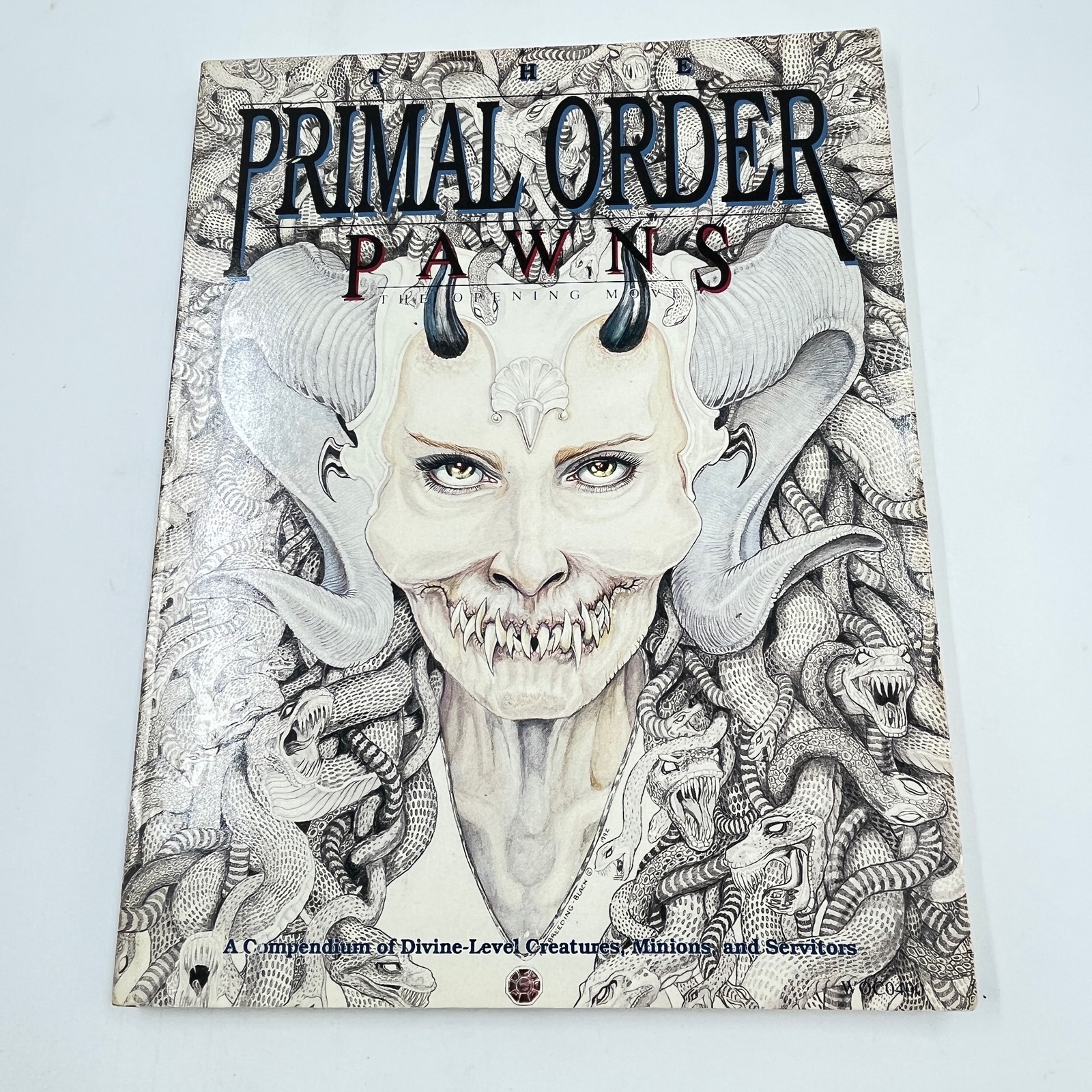 Wizards of the Coast The Primal Order – Pawns, The Opening Move Roleplay Book