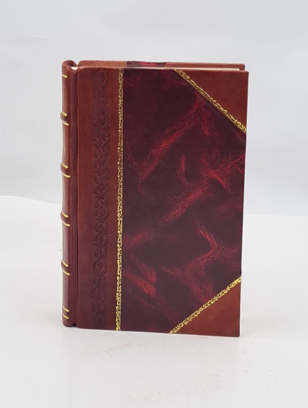 The Apocrypha 1929 by Bible, Ot, Apocrypha. [LEATHER BOUND]