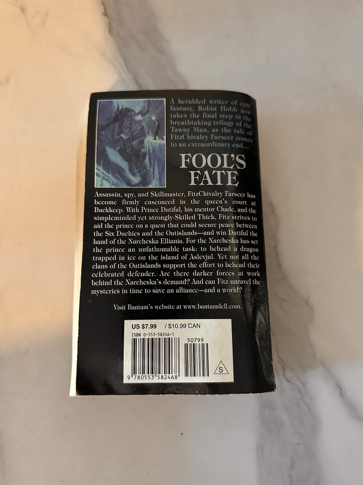 Fool’s Fate (The Tawny Man, Book 3) by Robin Hobb