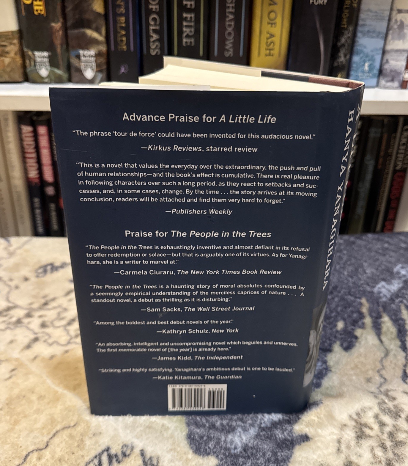 A Little Life by Hanya Yanagihara (Hardcover) First Edition/Print, 1st/1st, VG+