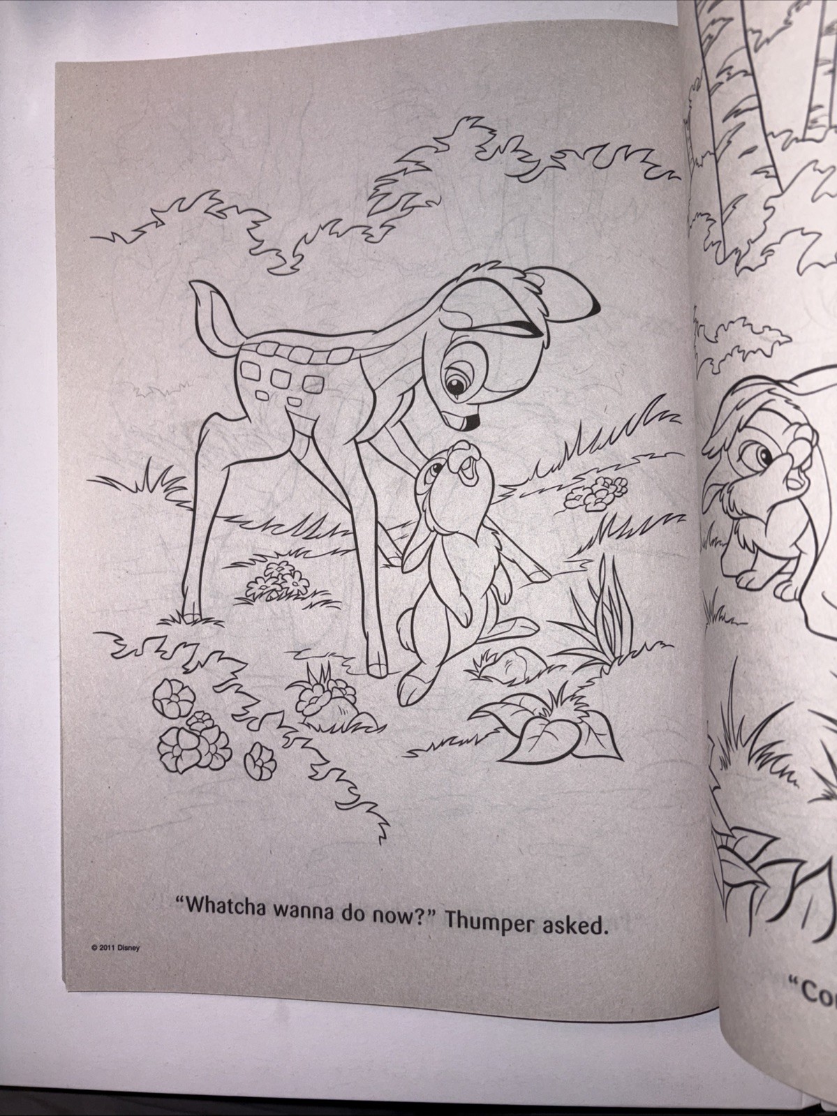 Disney Animal Friends Big Fun Coloring Book Tear Share 80 Pages