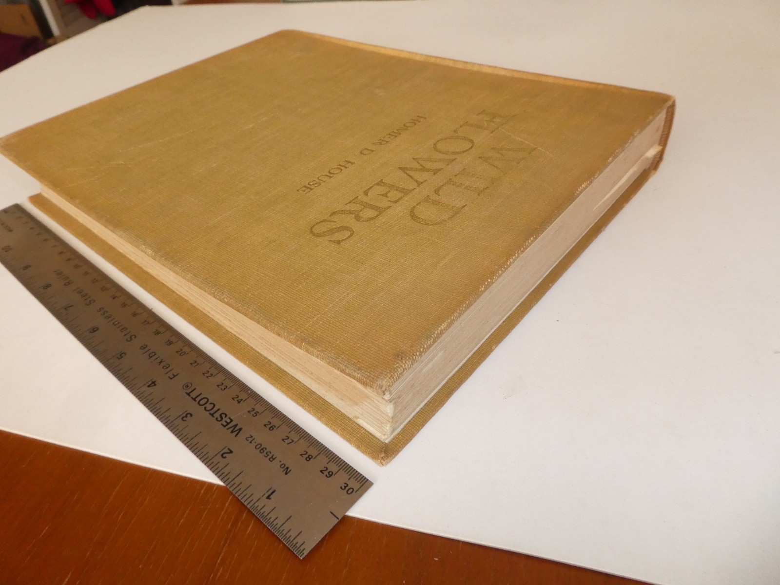 Wild Flowers by Homer D. House 1935 Macmillan Company Elzie S. Wechsler Columbia