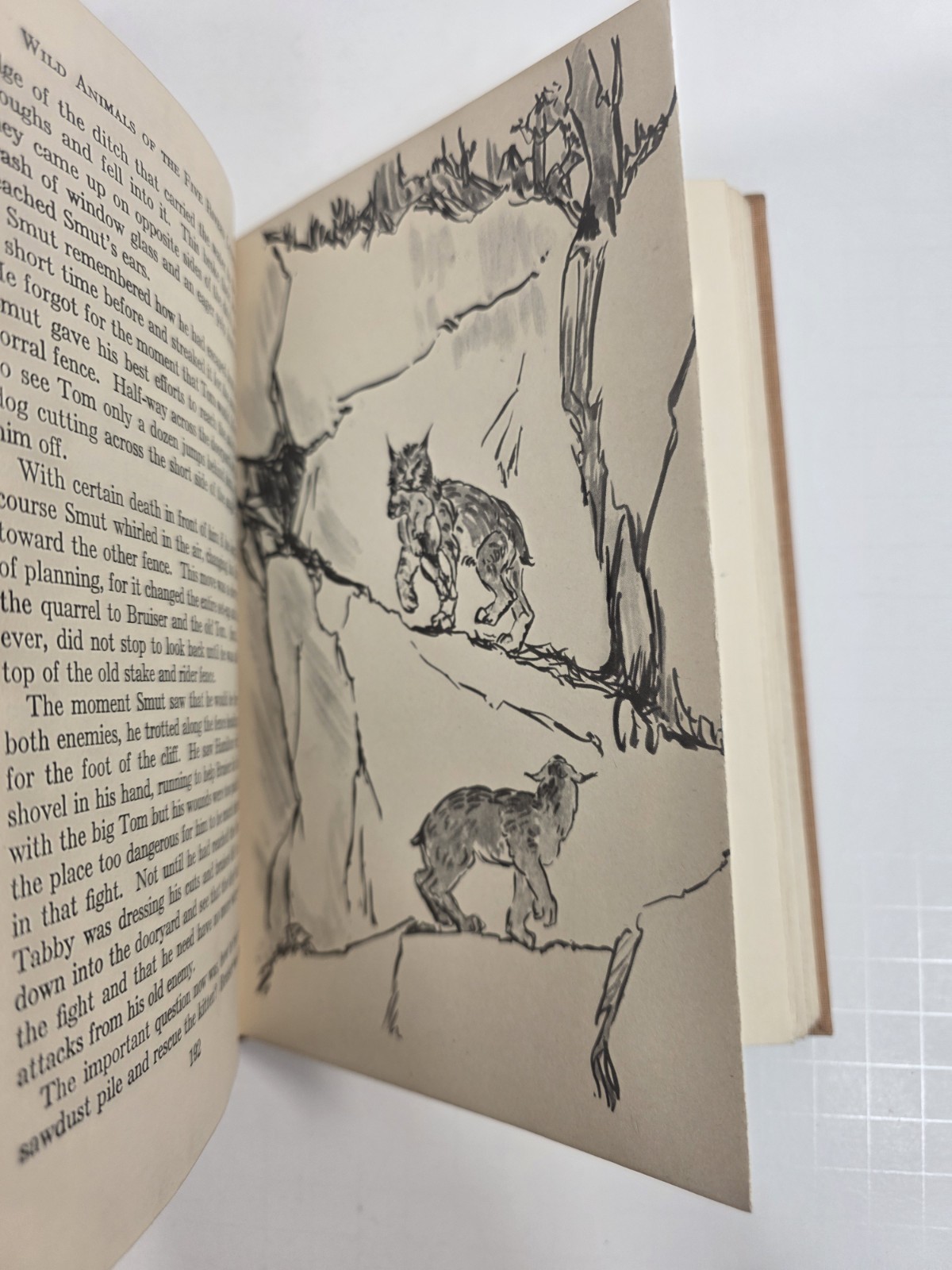 Wild Animals of the Five Rivers Country George Franklin 1947 Mary Ogden Abbott