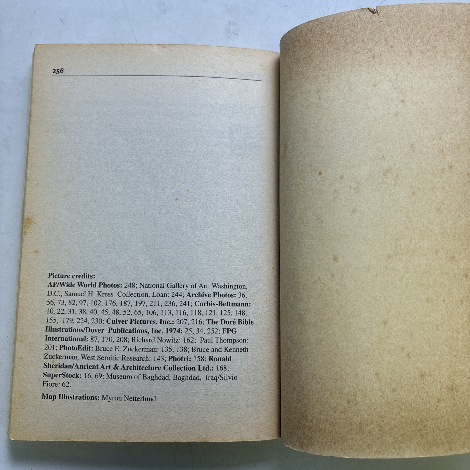 Secrets of the Bible – Timothy Dailey (TPB)