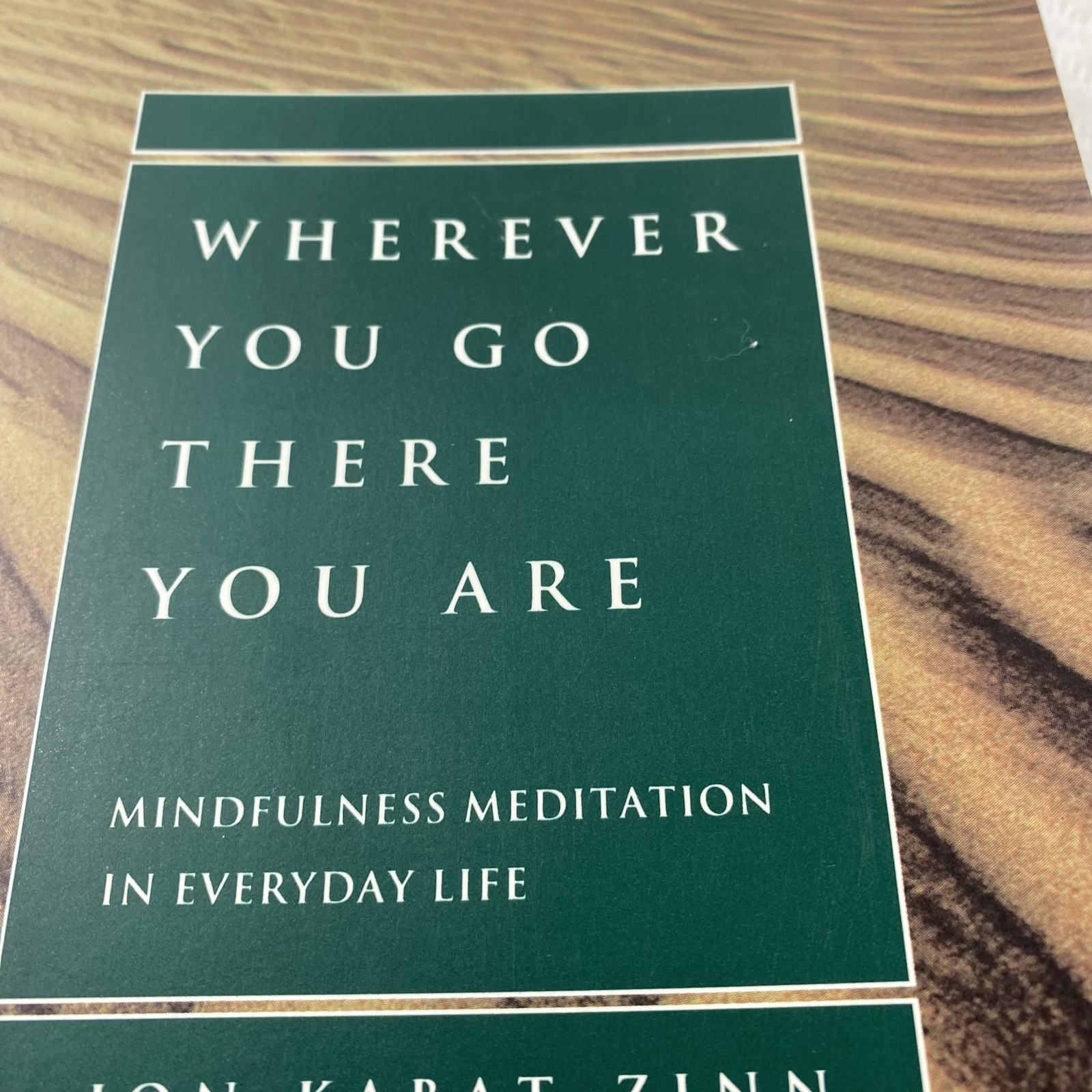Wherever You Go There You Are Jon Kabat-Zinn Mindfulness Meditation Book Softcov