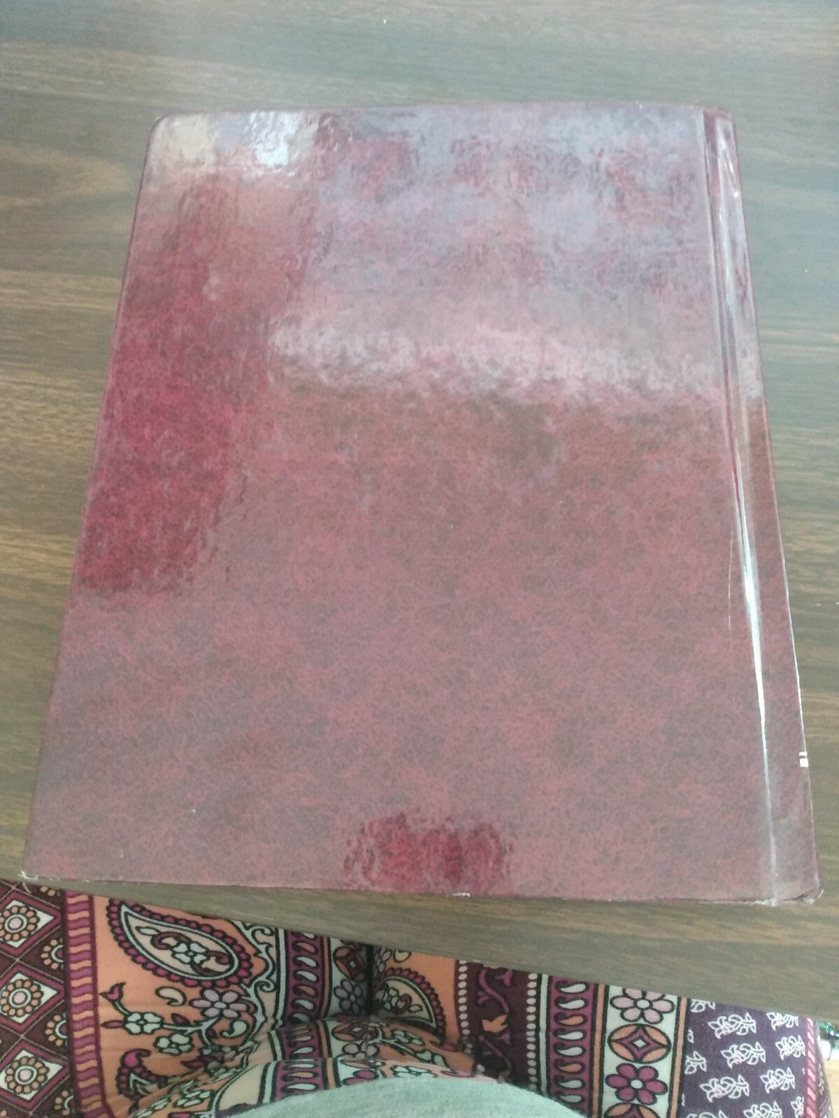 STUDENT HANDBOOK INCLUDING YOUNG READER’S COMPANION (2). (Cm)