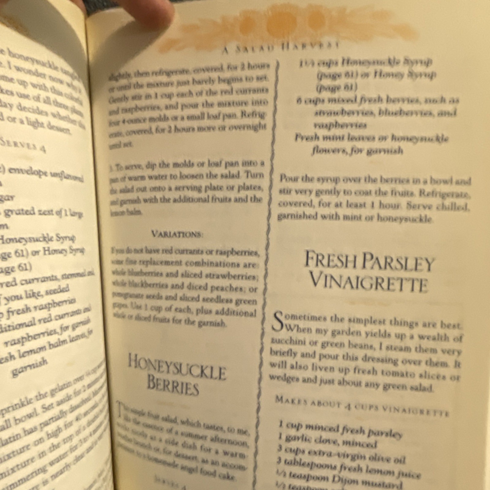 The Harvard Common Press Prairie Home Cooking Judith M. Fertig Vintage HC