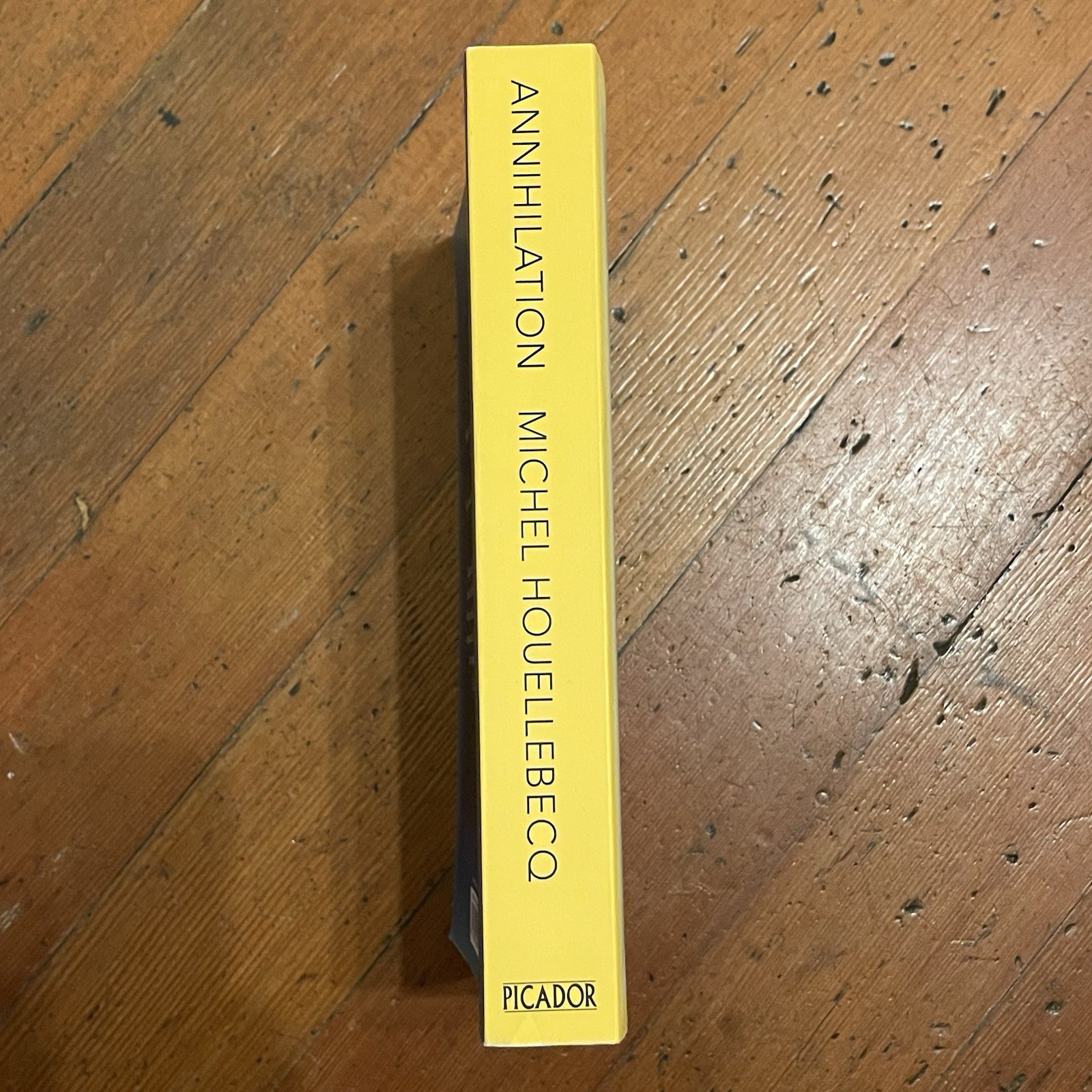Annihilation (2024) Michel Houellebecq 2nd Printing Trade Paperback UK Import