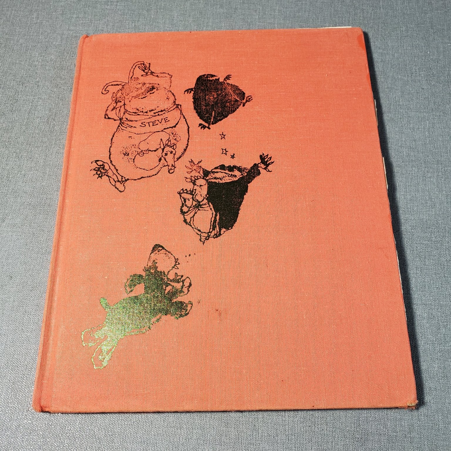 Chasing the Goblins Away Tobi Tobias 1977 Illustrated Fantasy Frederick Warne