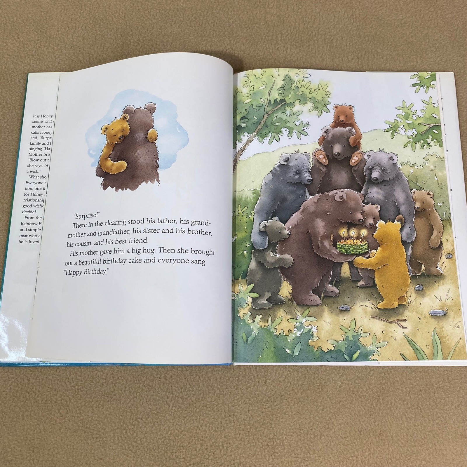 Marcus Pfister Make a Wish Honey Bear Book Kids Hardcover Birthday Gift EUC