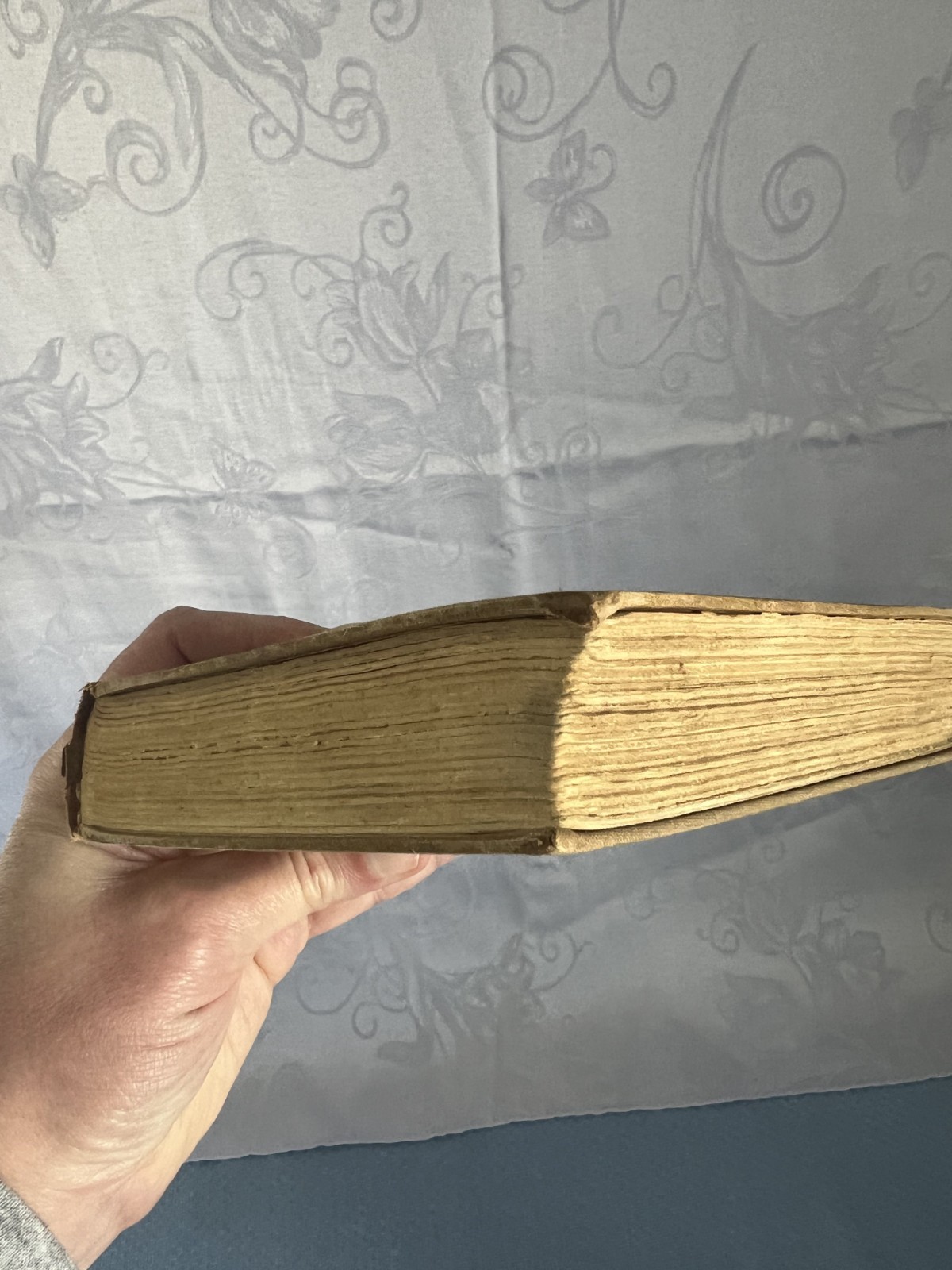 John Steinbeck Tortilla Flat 1935 TRUE 1st Edition Covici-Friede NO DJ
