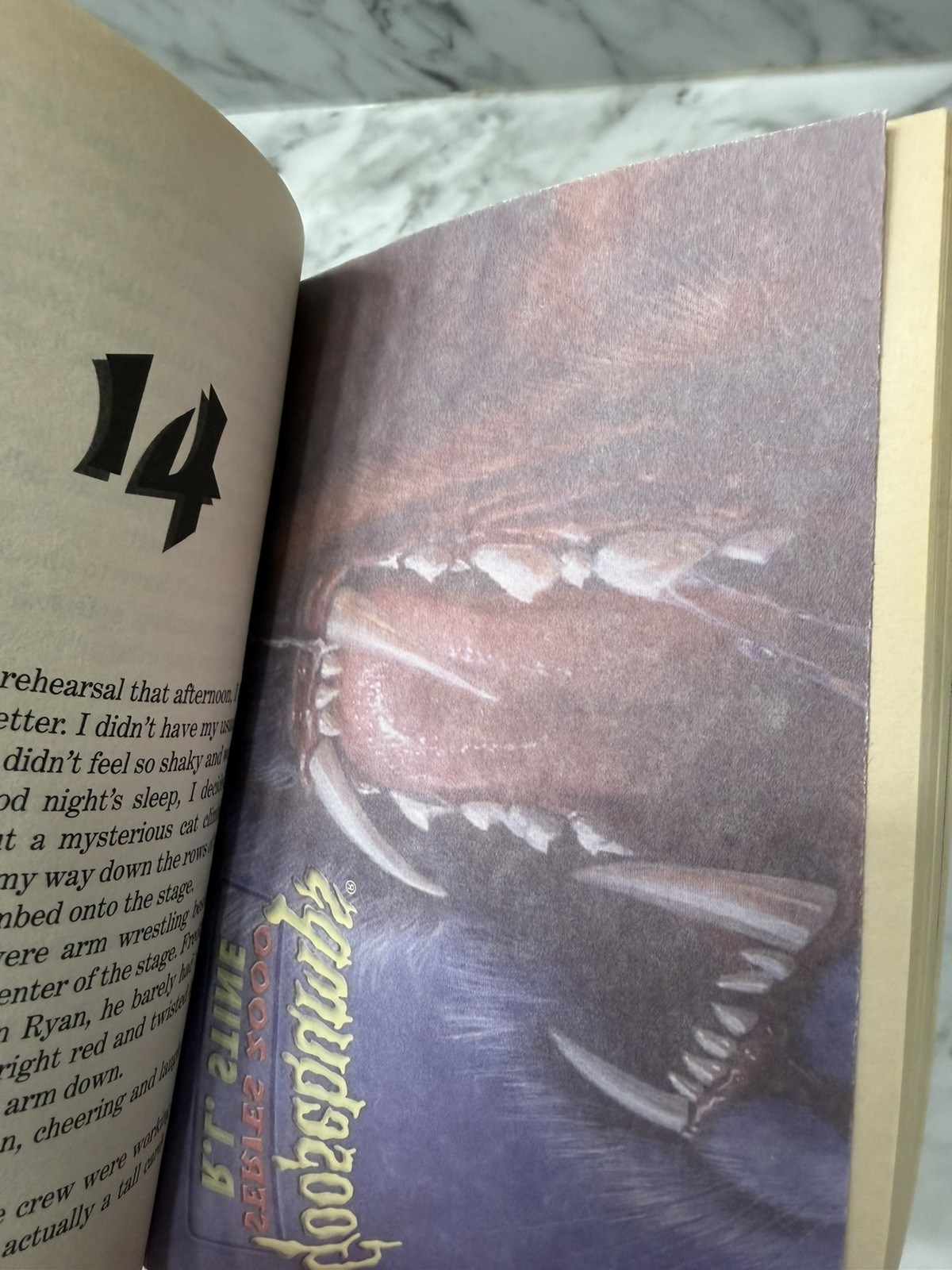 w/ DECAL INSERT 1st Print #1 Cry of the Cat Goosebumps Series 2000 Book RL Stine
