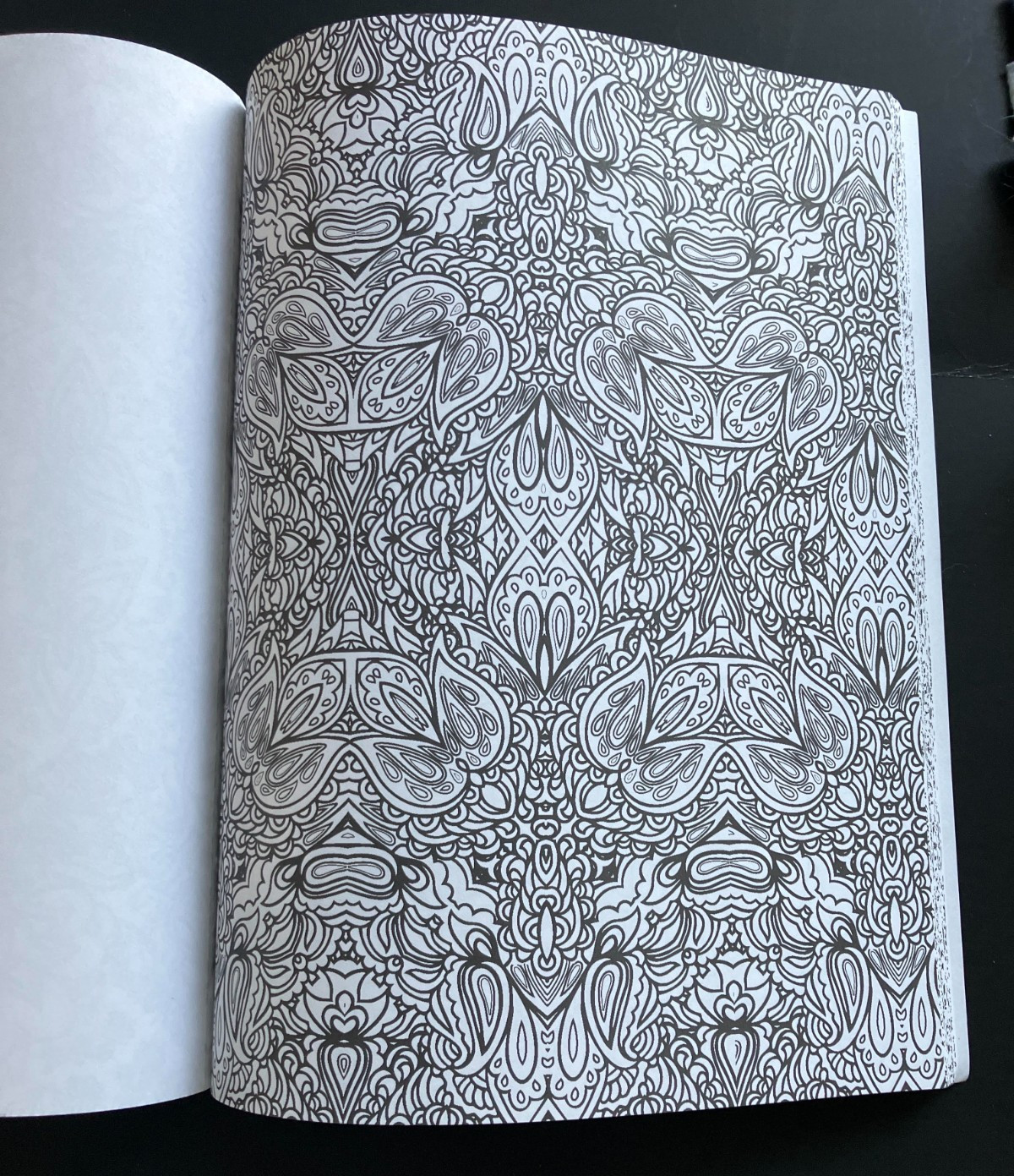 Art Nouveau: Coloring for Artists by Skyhorse Publishing (2015, Trade Paperback)
