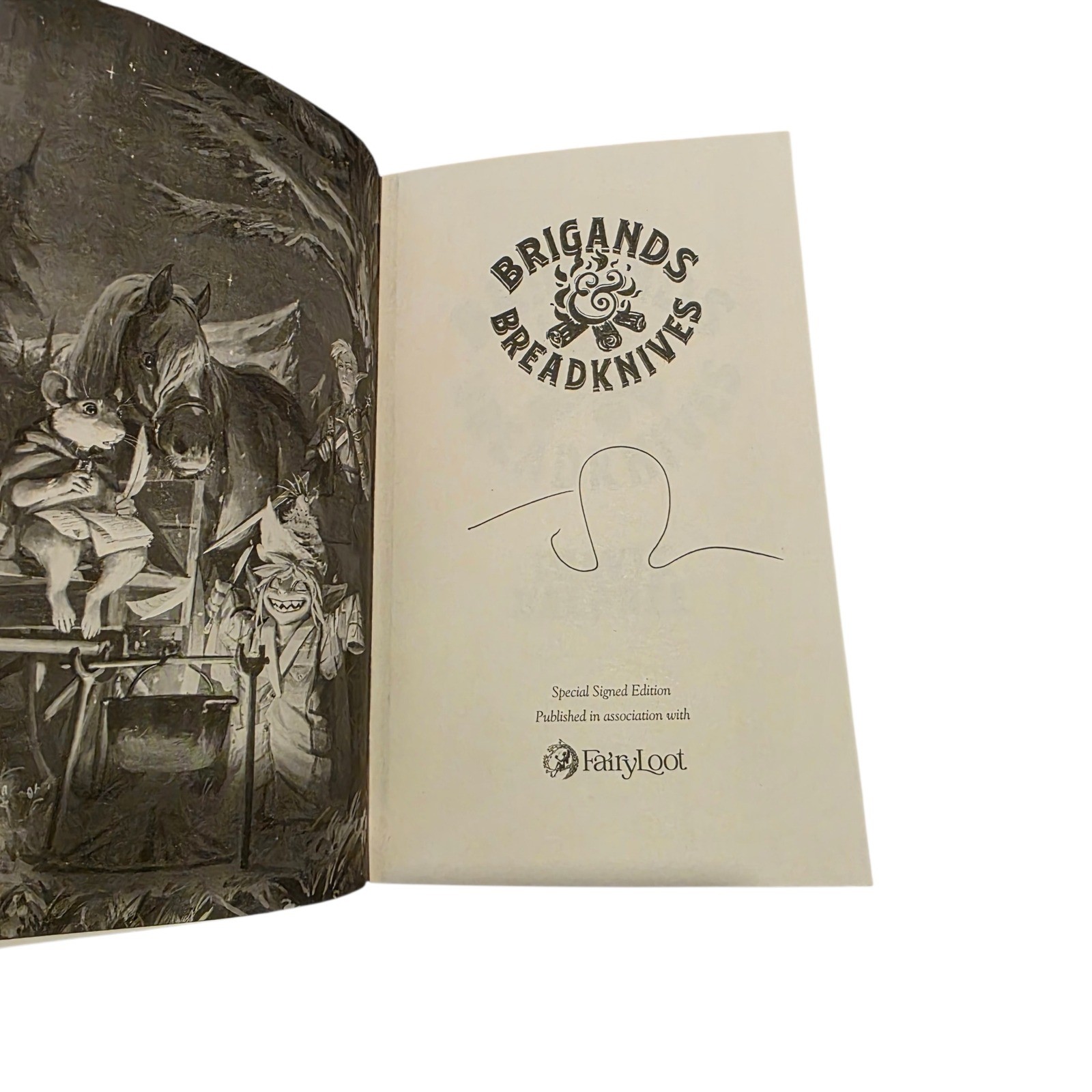 Travis Baldree Brigands & Breadknives FairyLoot Signed Exclusive Edition Book