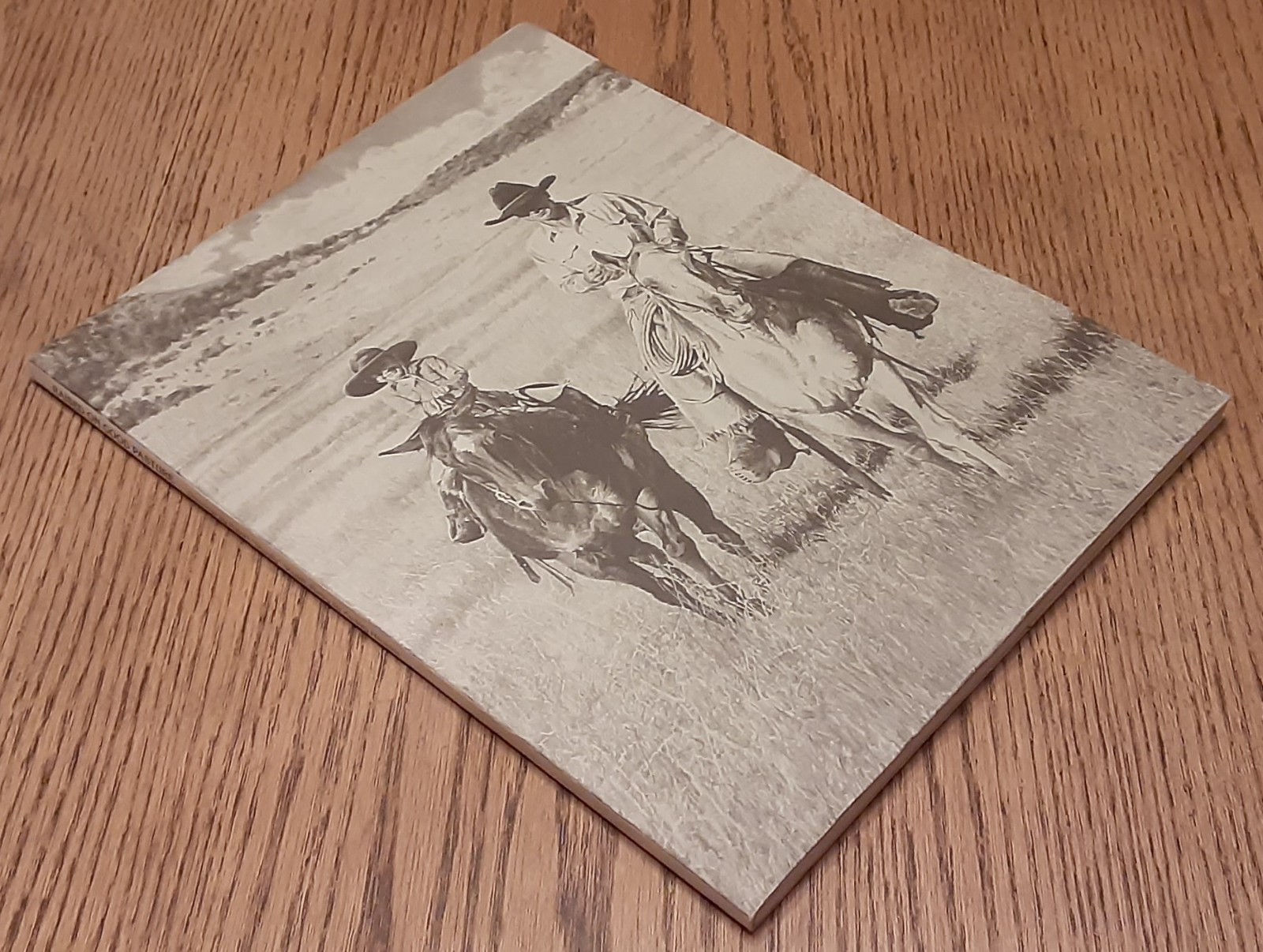 Raised On Good Pasture: Poetry by Audrey Hankins, Drawings by Shoofly – Signed