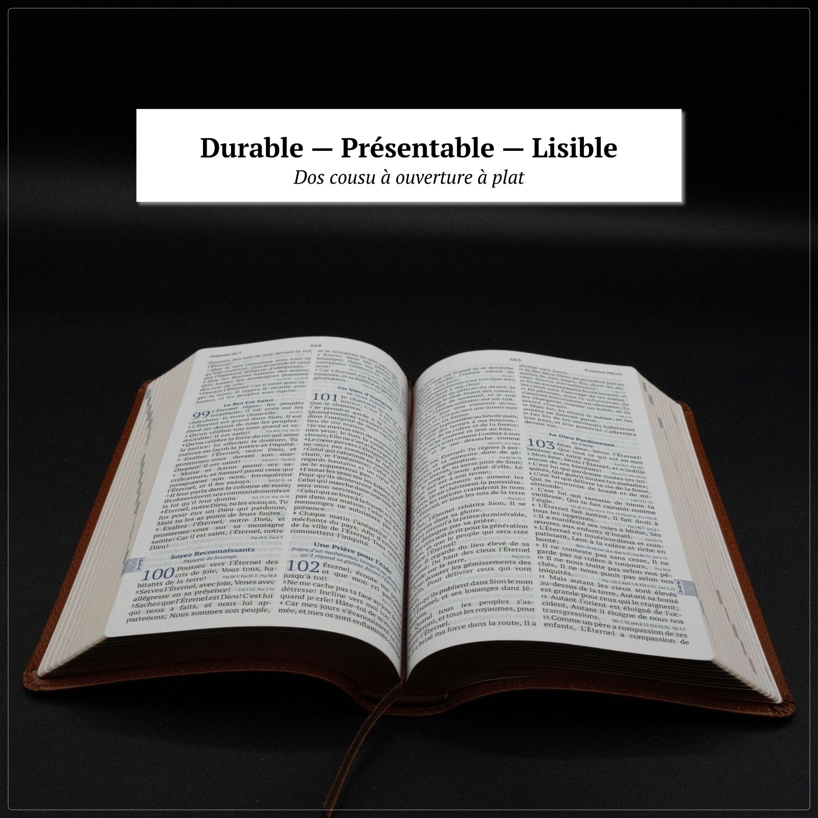 Louis Segond French Bible Medium Print – Compact LSG Bible Marron by SP