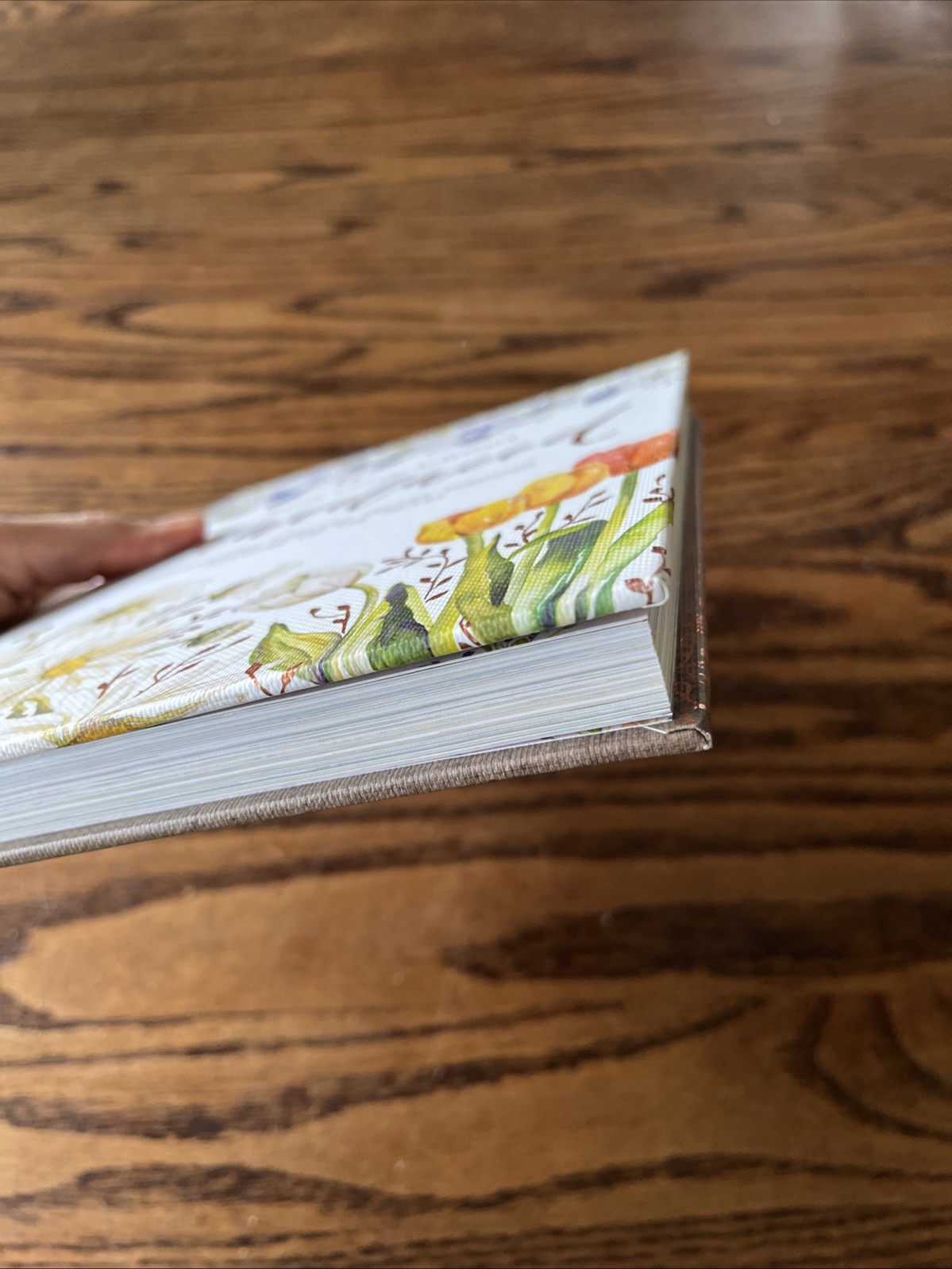 GraceLaced : Discovering Timeless Truths Through Seasons of the Heart by Ruth…