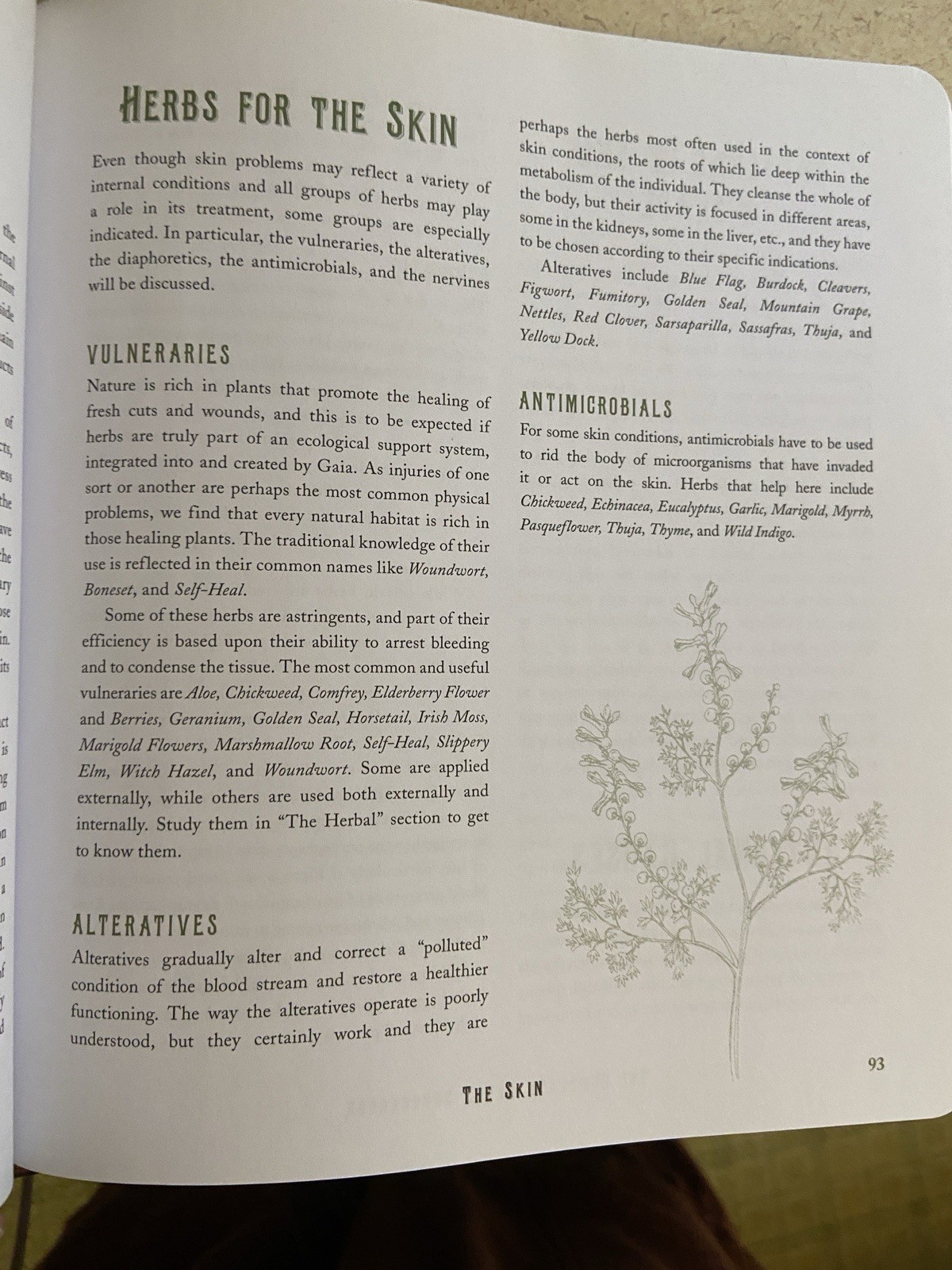 The Complete Herbs Sourcebook by David Hoffmann